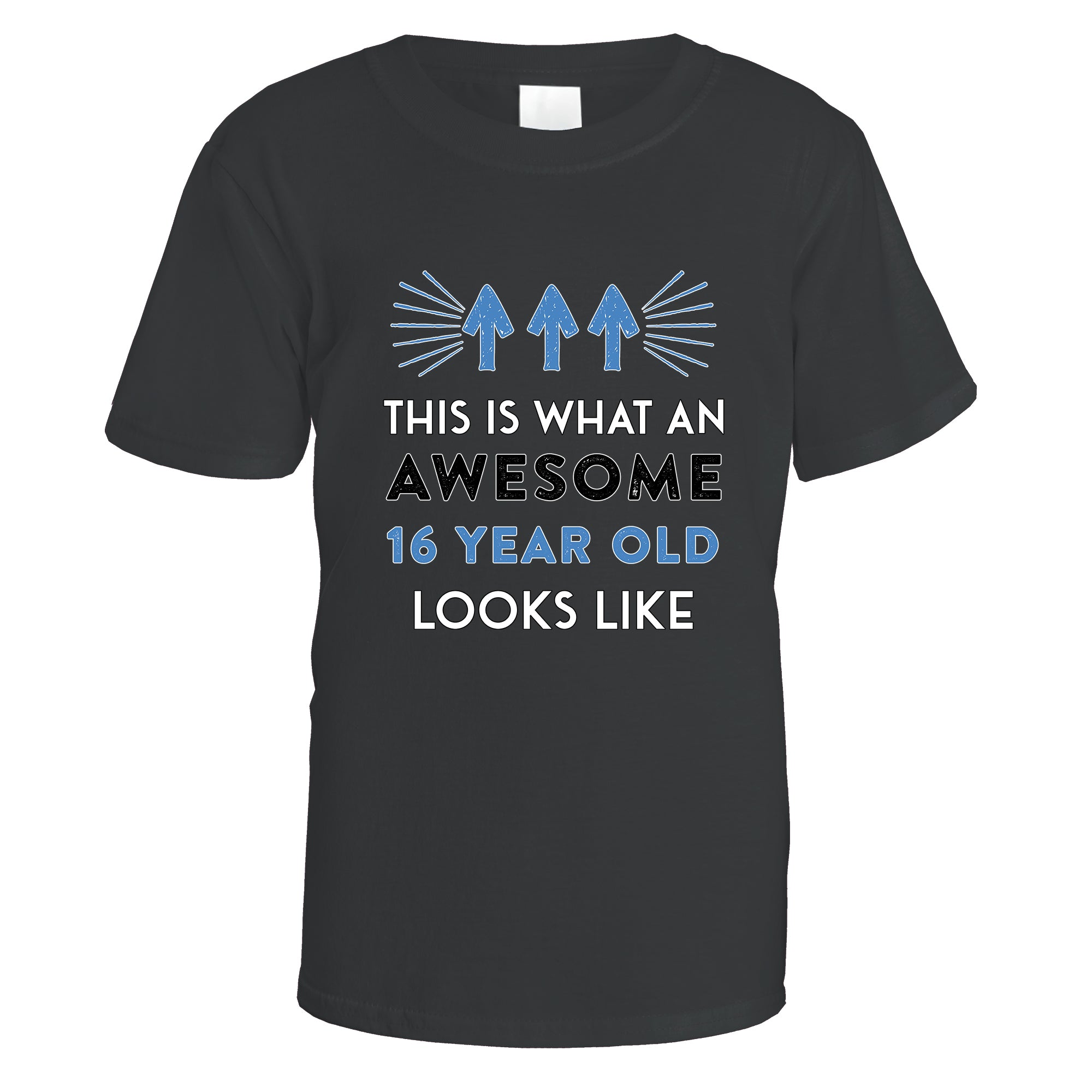 Awesome 16 Year Old T-Shirt (Blue Design)