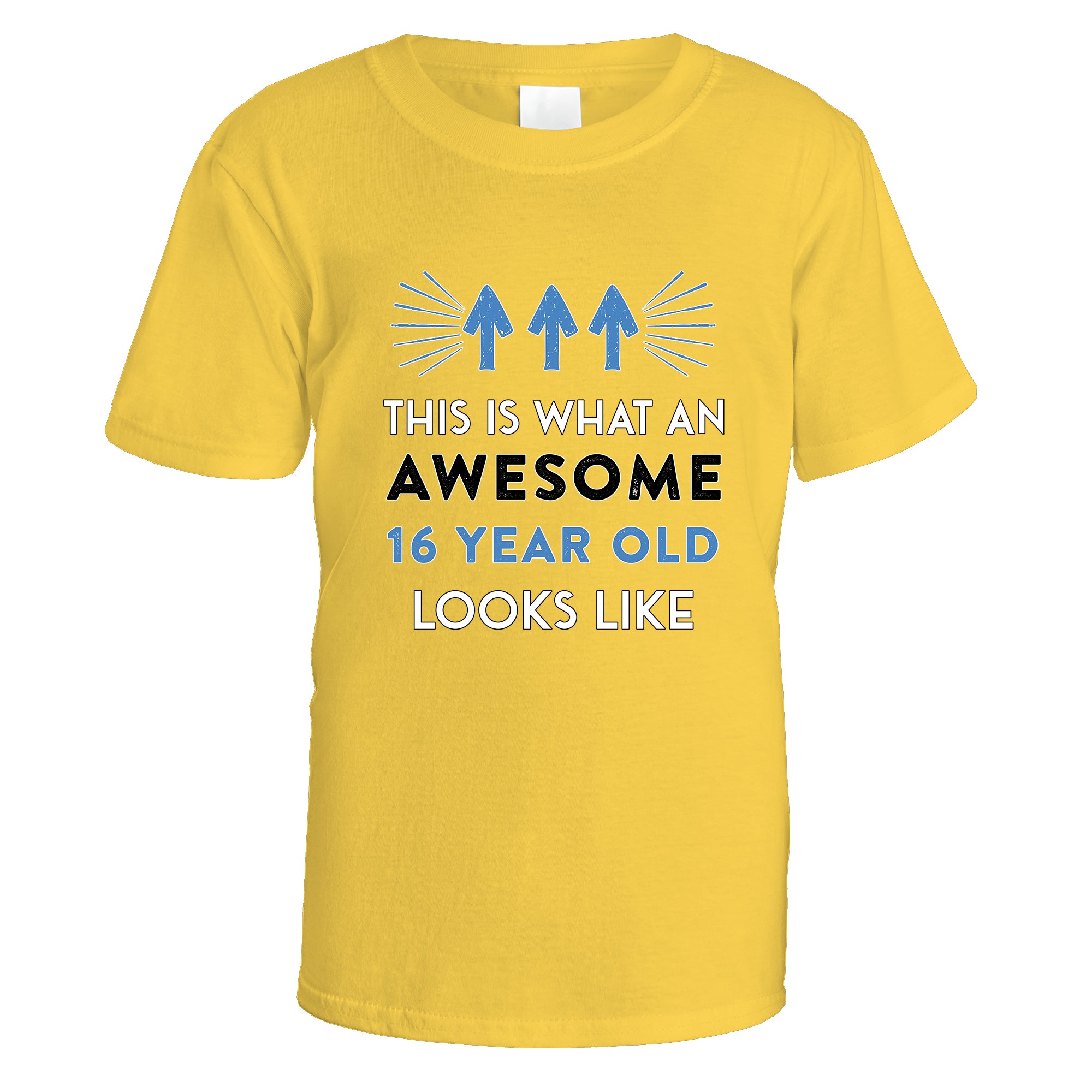 Awesome 16 Year Old T-Shirt (Blue Design)