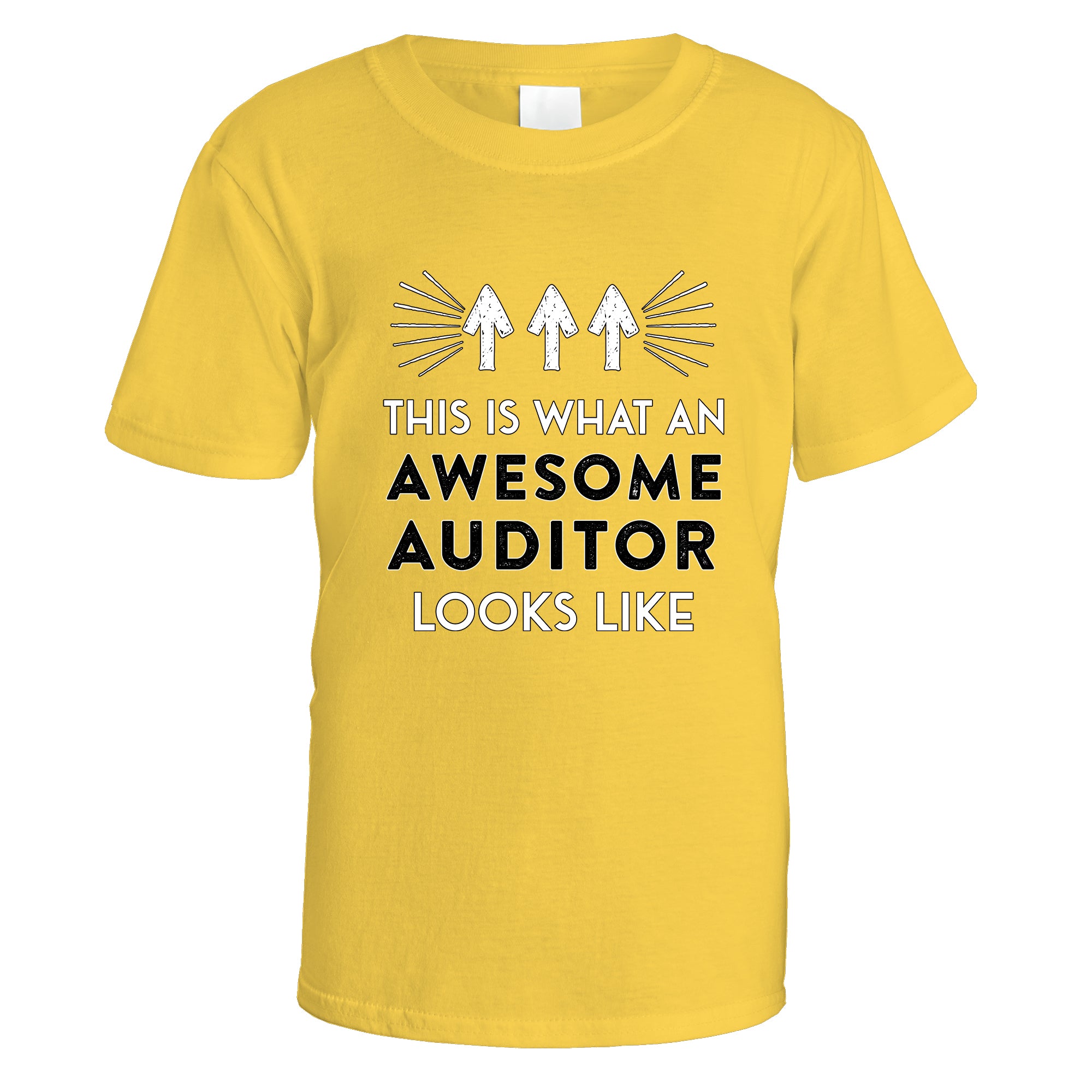 Awesome Auditor T-Shirt