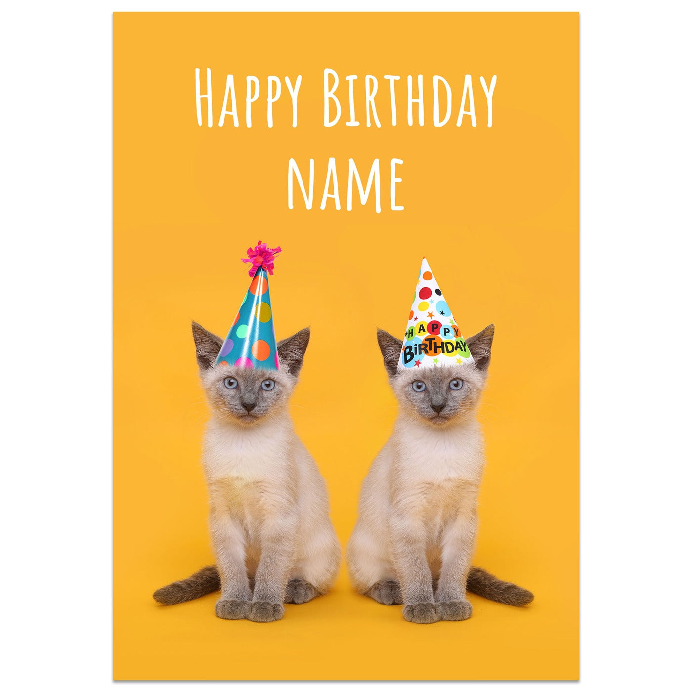Cats with Party Hats Birthday Card