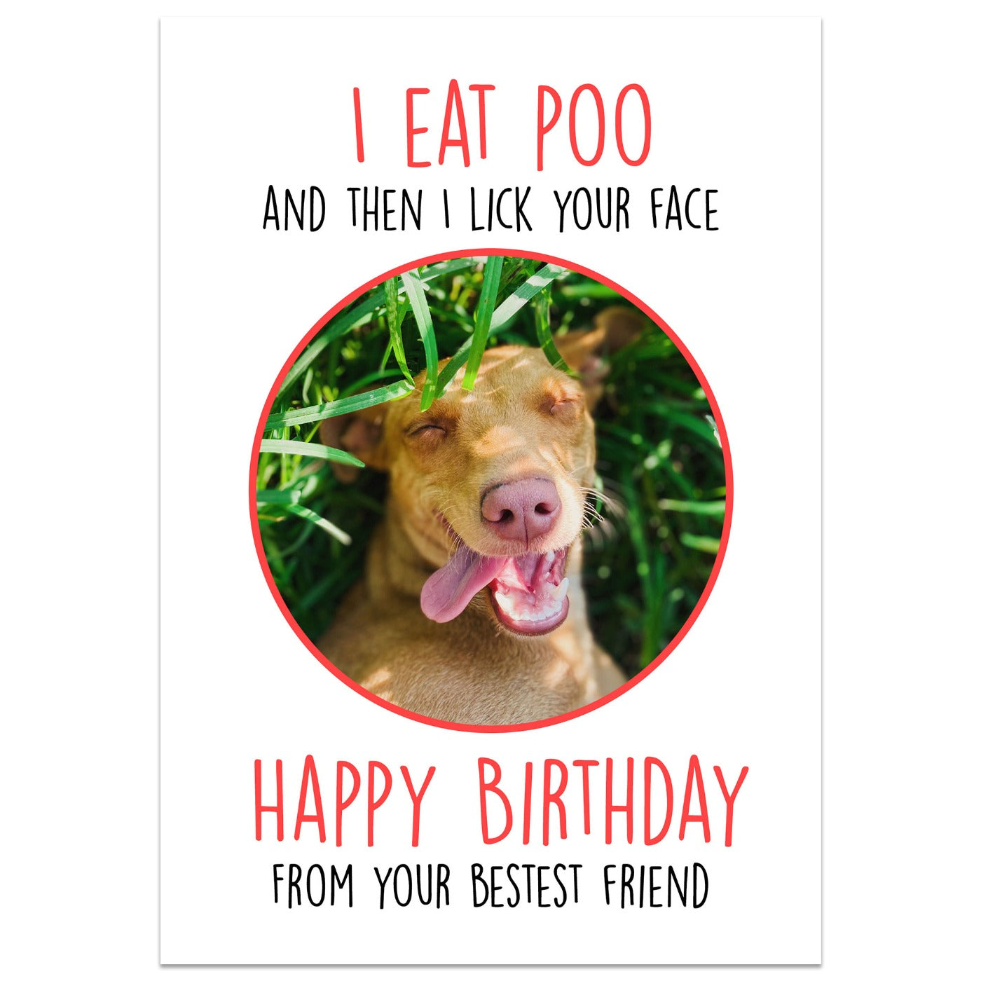 I Eat Poo and Then I Lick Your Face Card