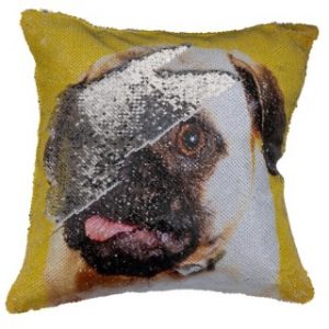 Magic Sequin Cushion