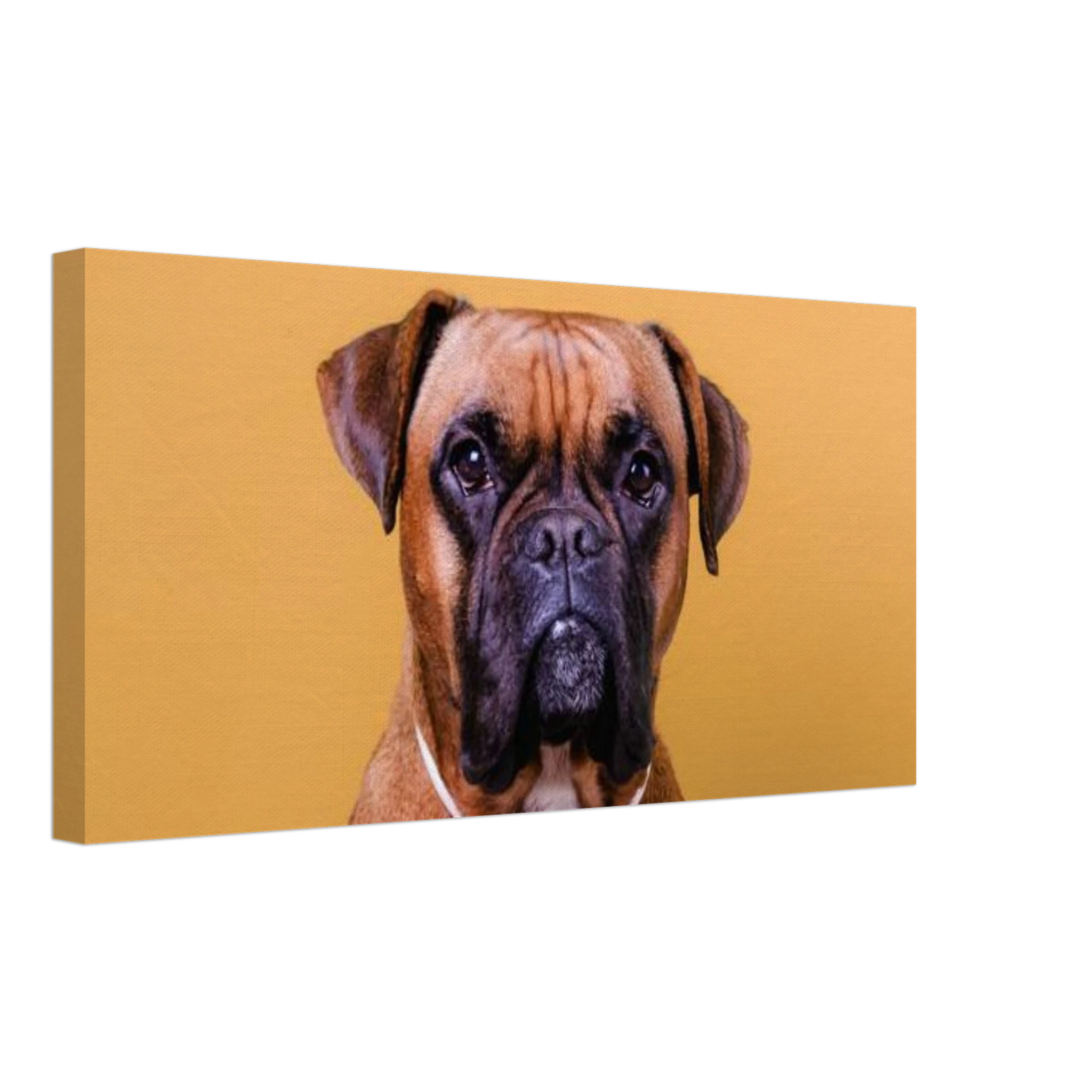 3e9091ad-9884-4321-91fd-b3040aa9ed17