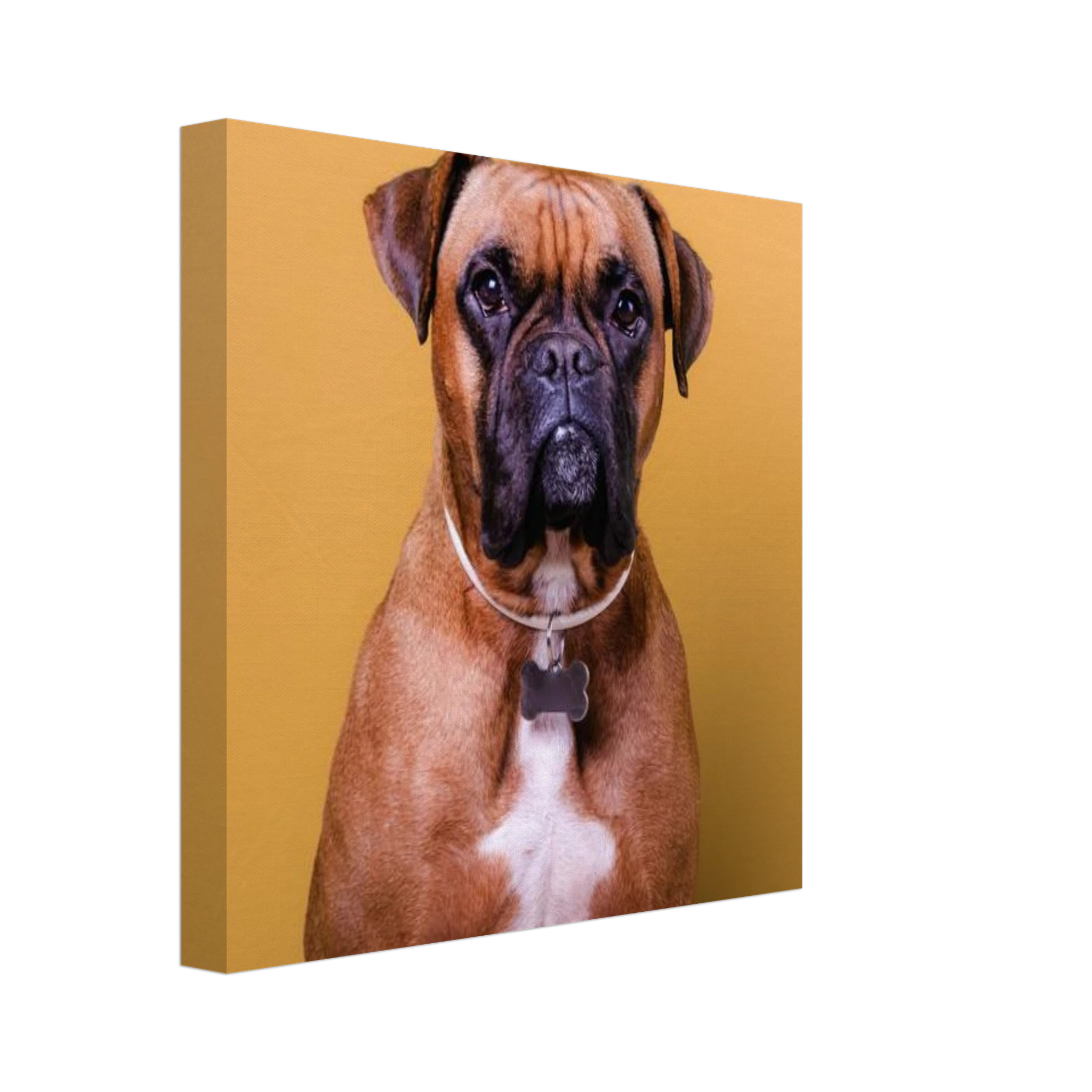 481cb60e-773a-4957-810f-7db46299553d