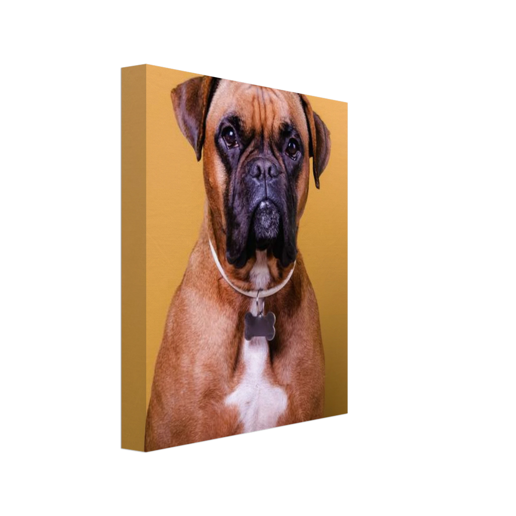 4824c6d3-ef7d-457c-b387-4069b0487977