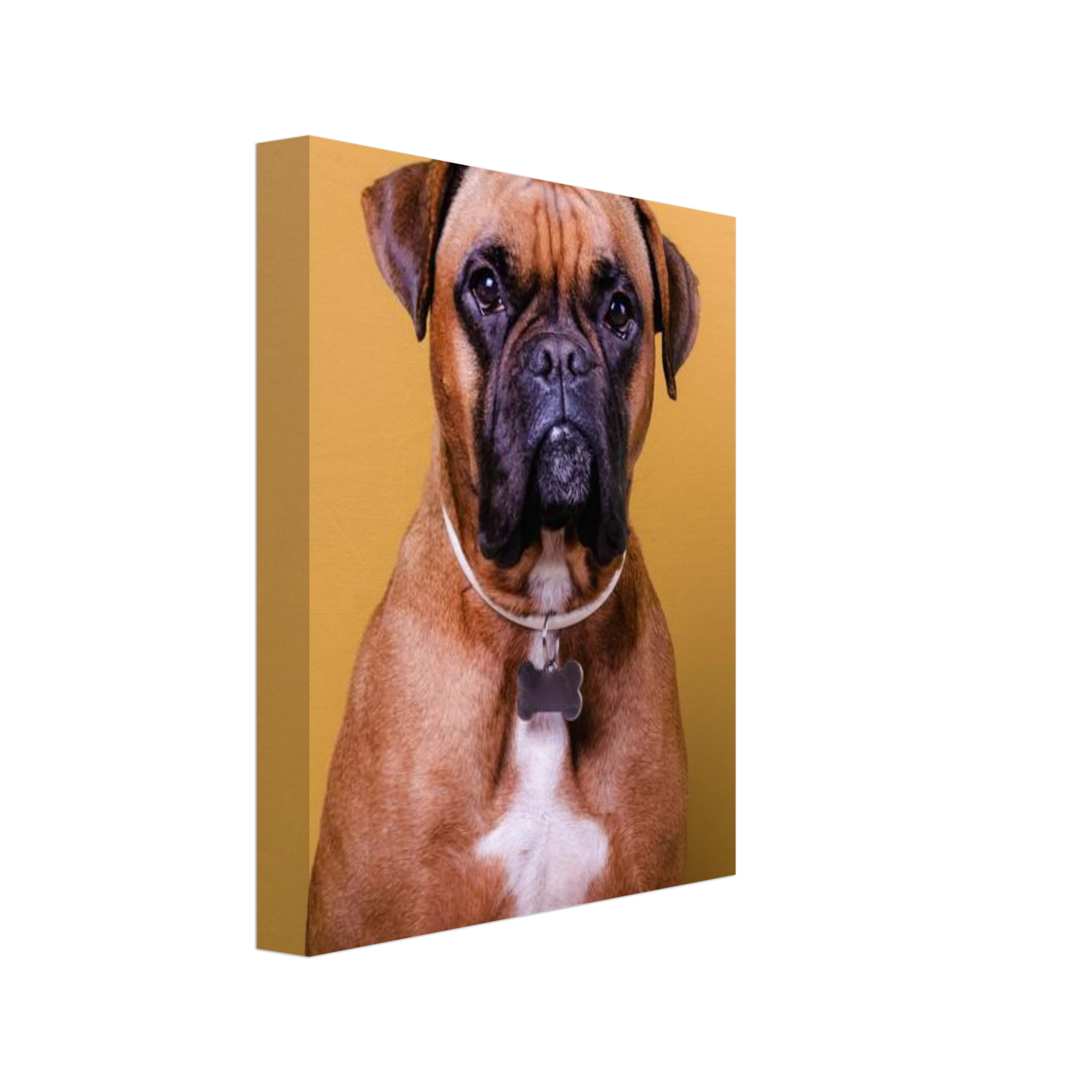 4824c6d3-ef7d-457c-b387-4069b0487977