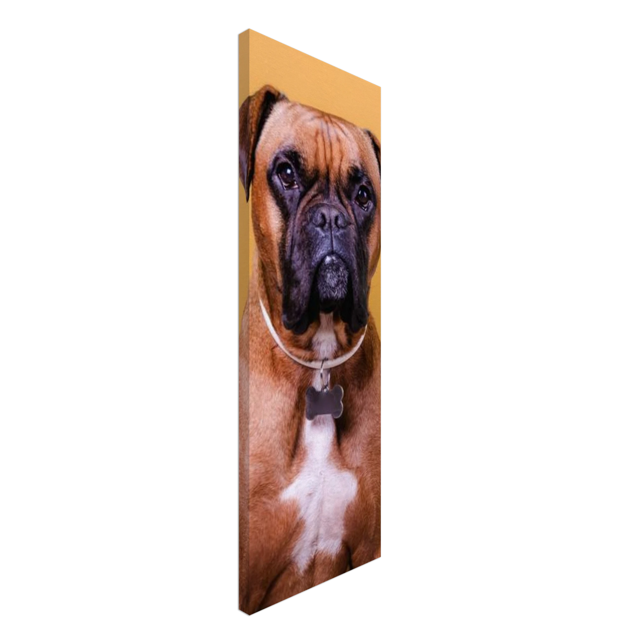 5bd704f5-8d53-4dd1-b4c1-cc036ec94863