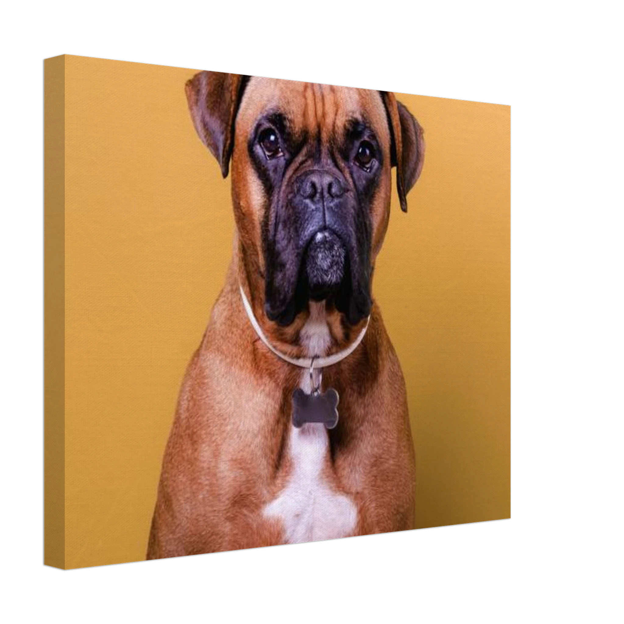 604743d1-96e7-4cd5-b394-237e5f18fe2b