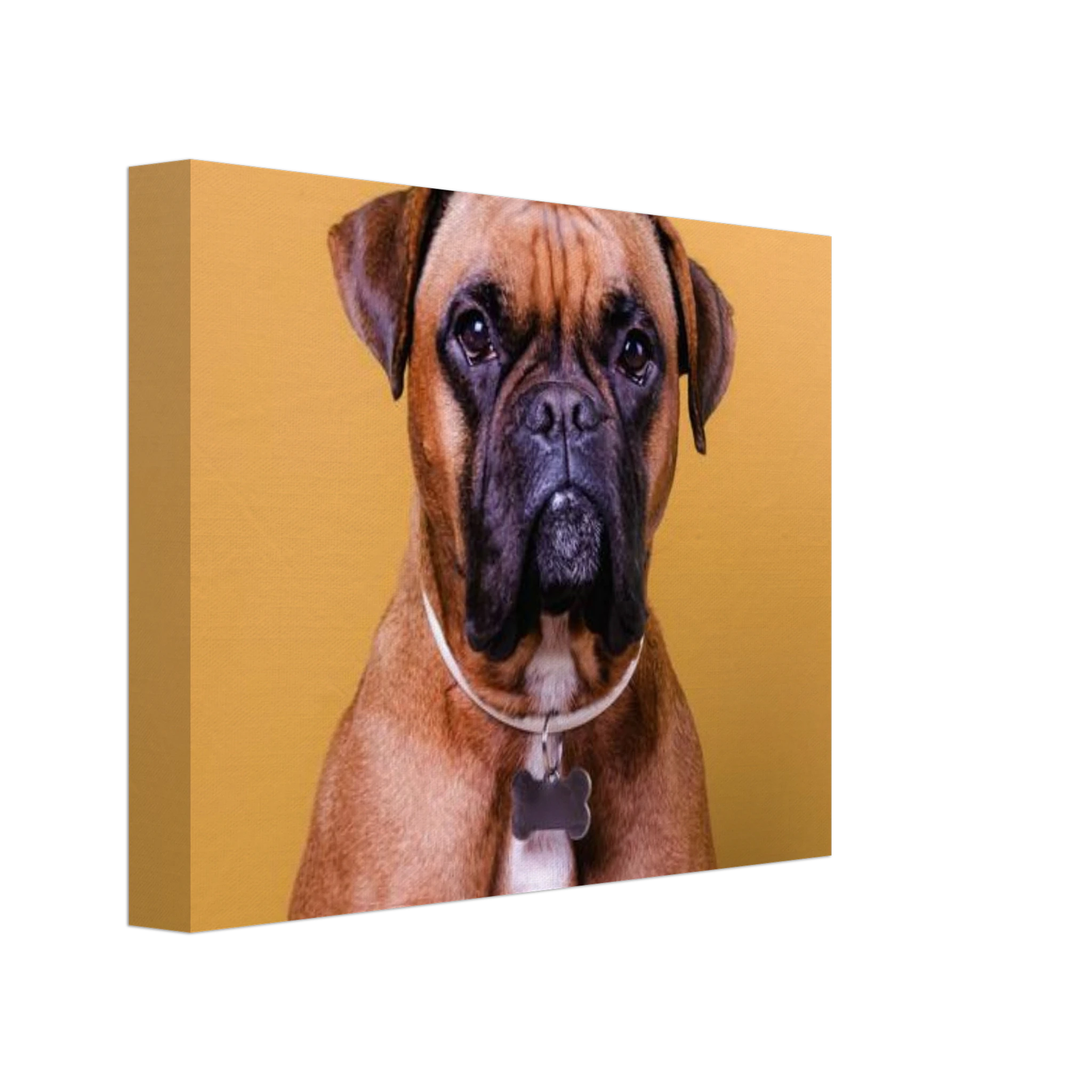 662f31db-a453-41ba-a803-87c53c7c8630