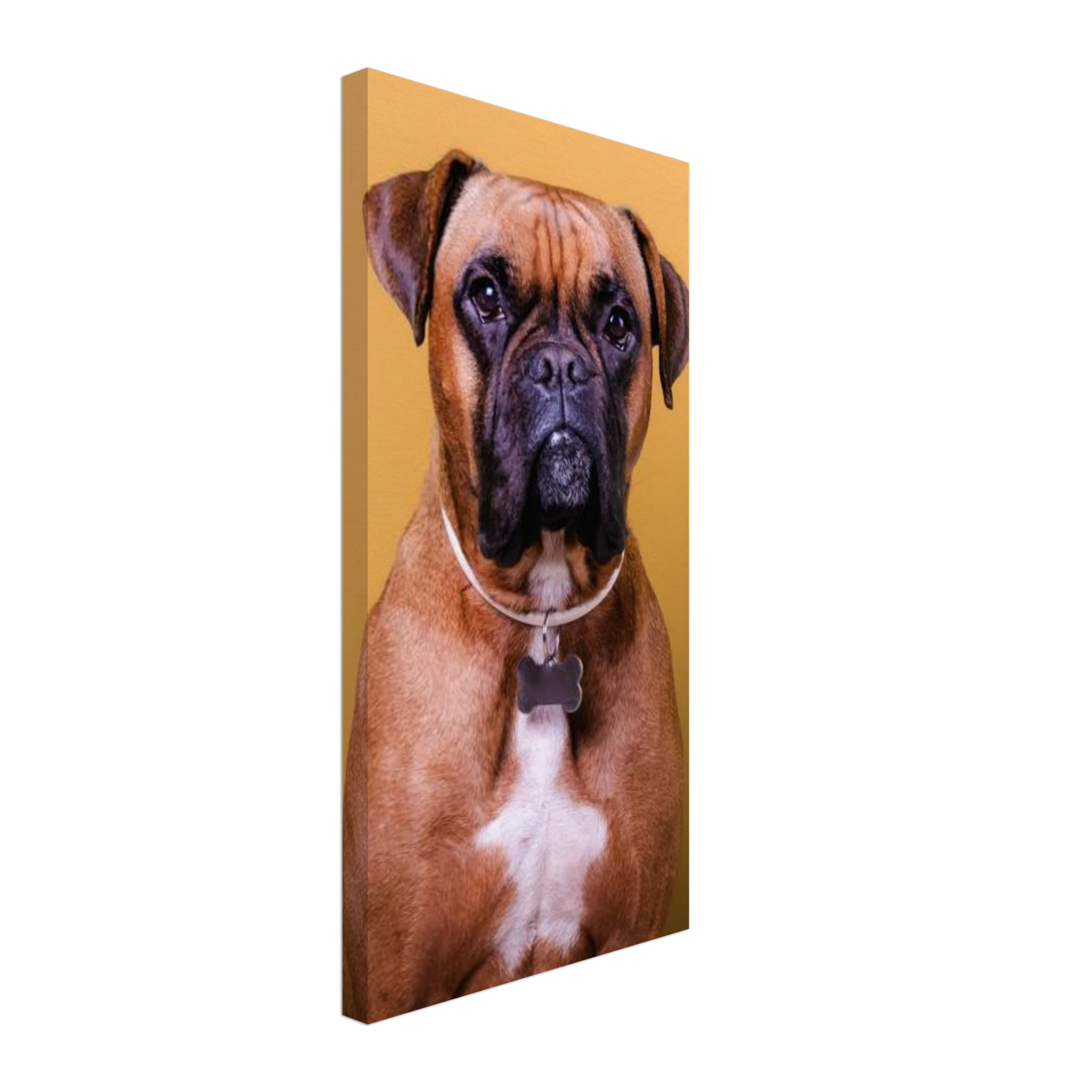 6c063f03-0f20-489e-9767-5599359b048d