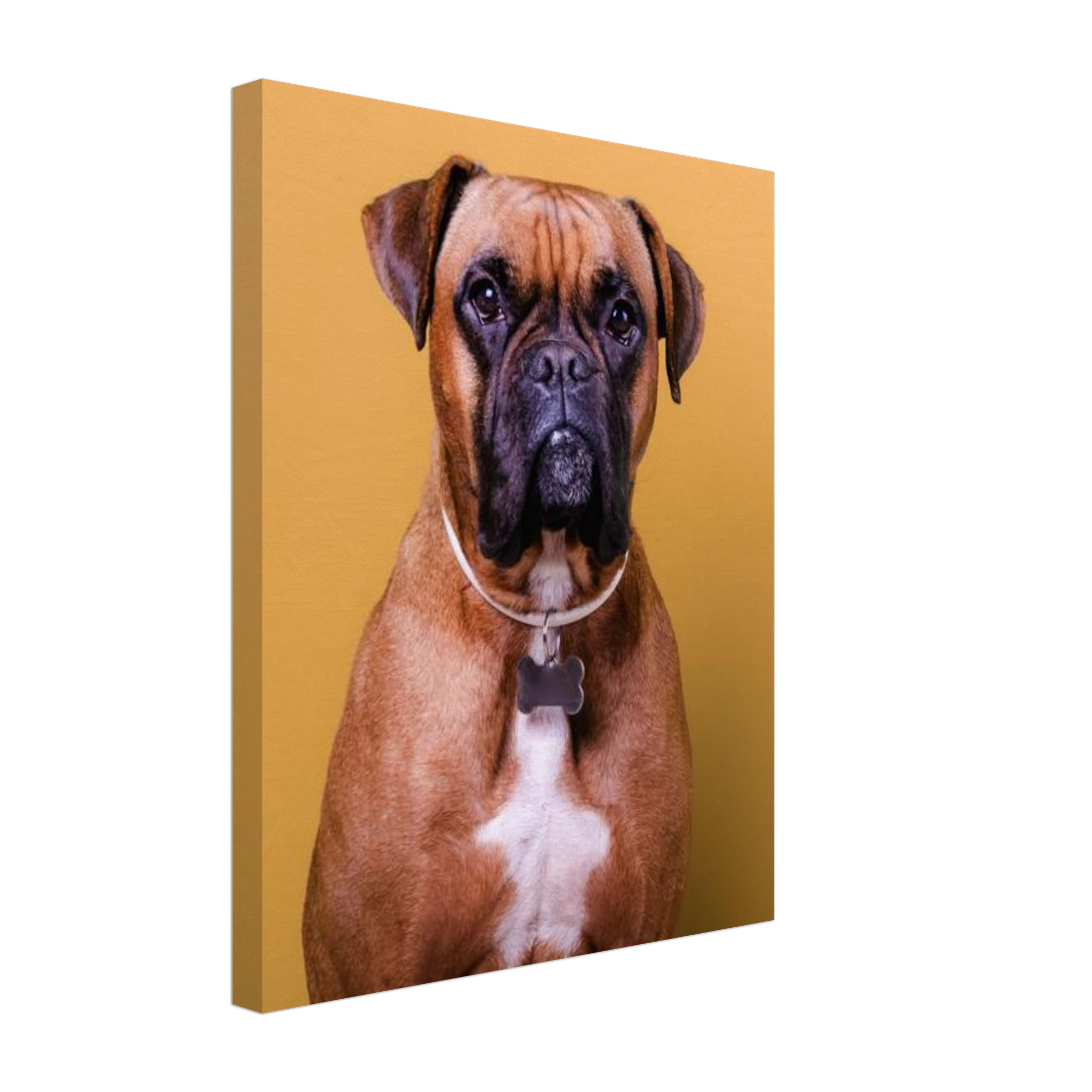 6da1a99d-e2ed-42ef-834a-871e641a78c9