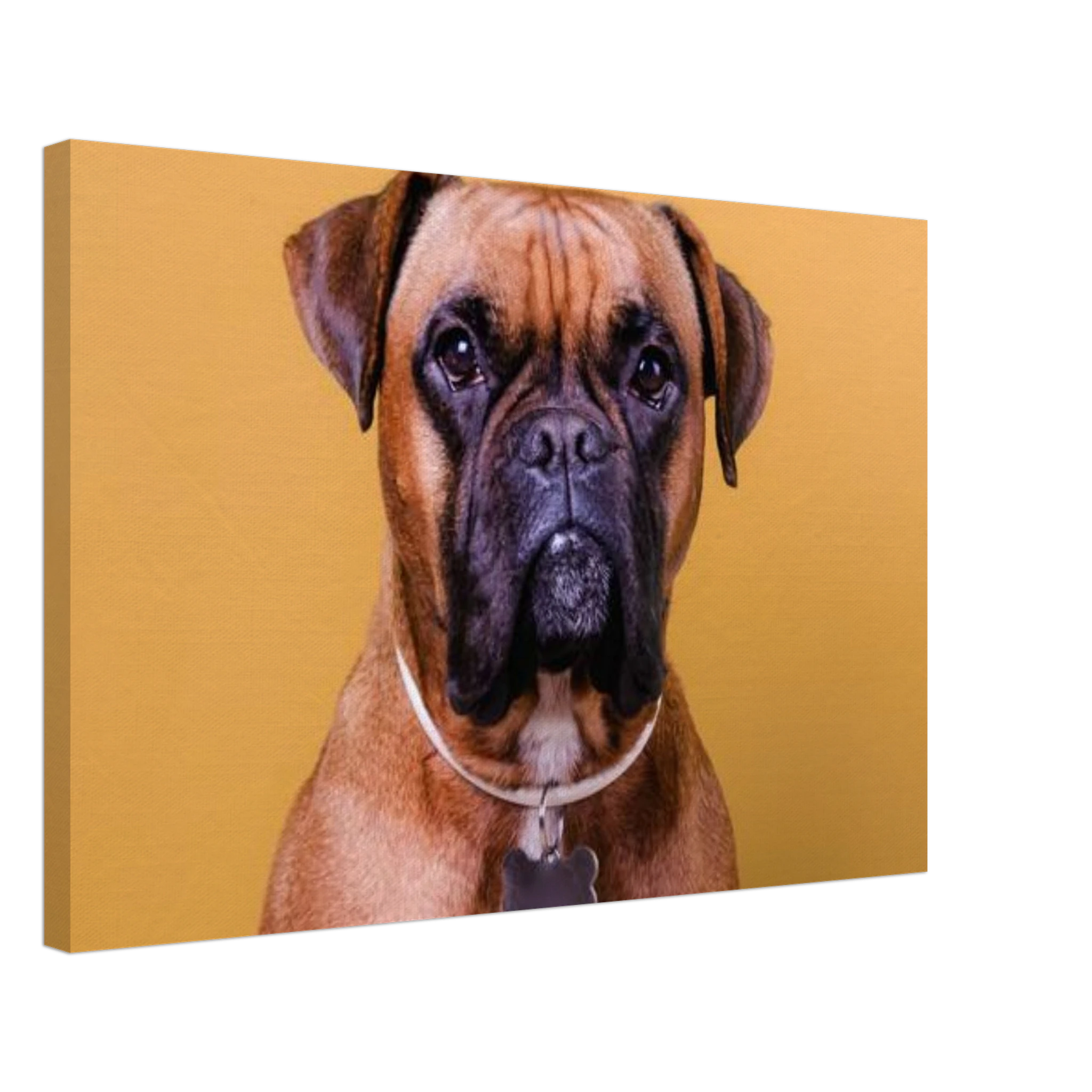 70a834e1-5792-4c08-84b4-be8a0d20f357