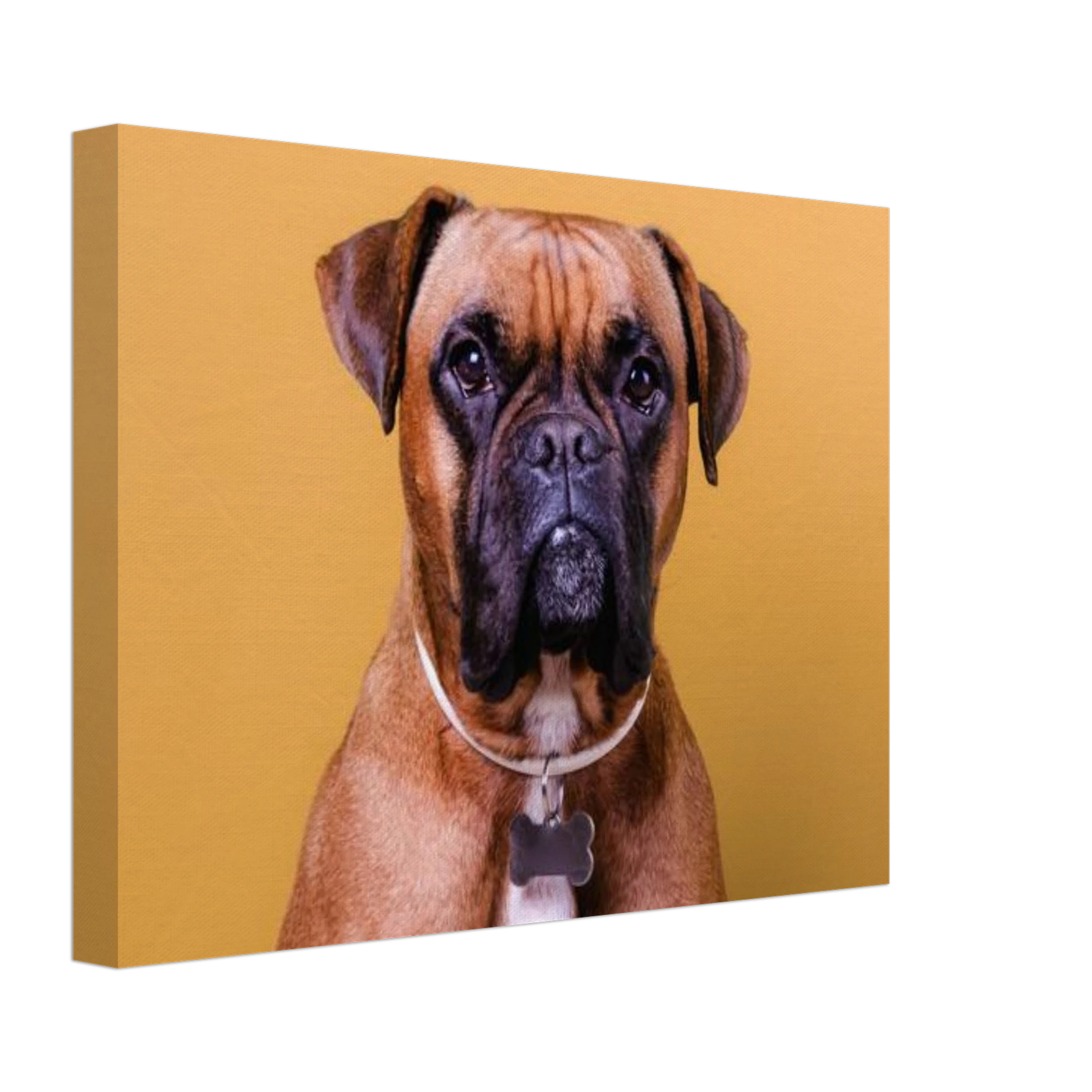 71887603-40e4-4ecf-b087-0236b7104c0a