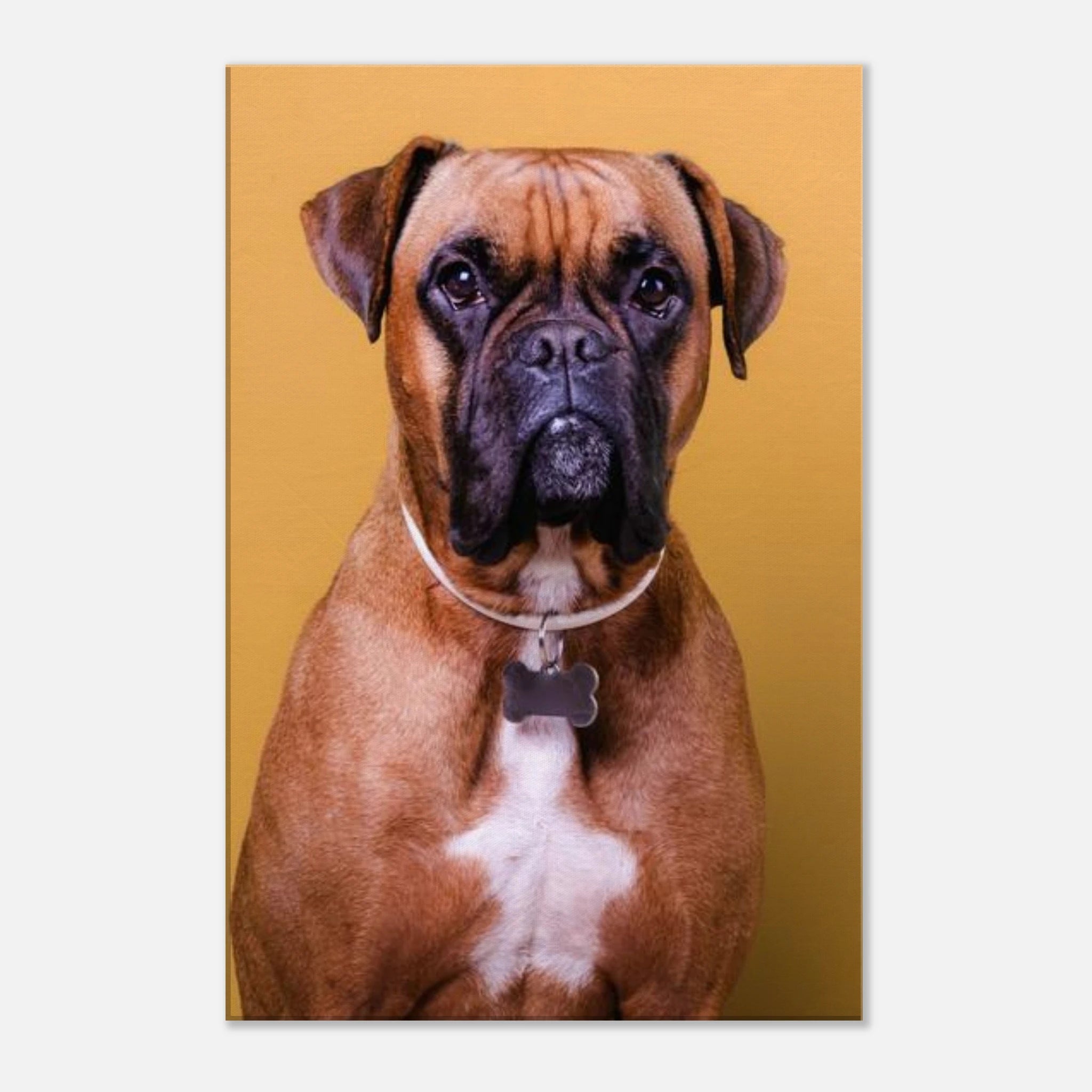 77365e6c-5aa9-4d24-8509-c9dca3bc9128