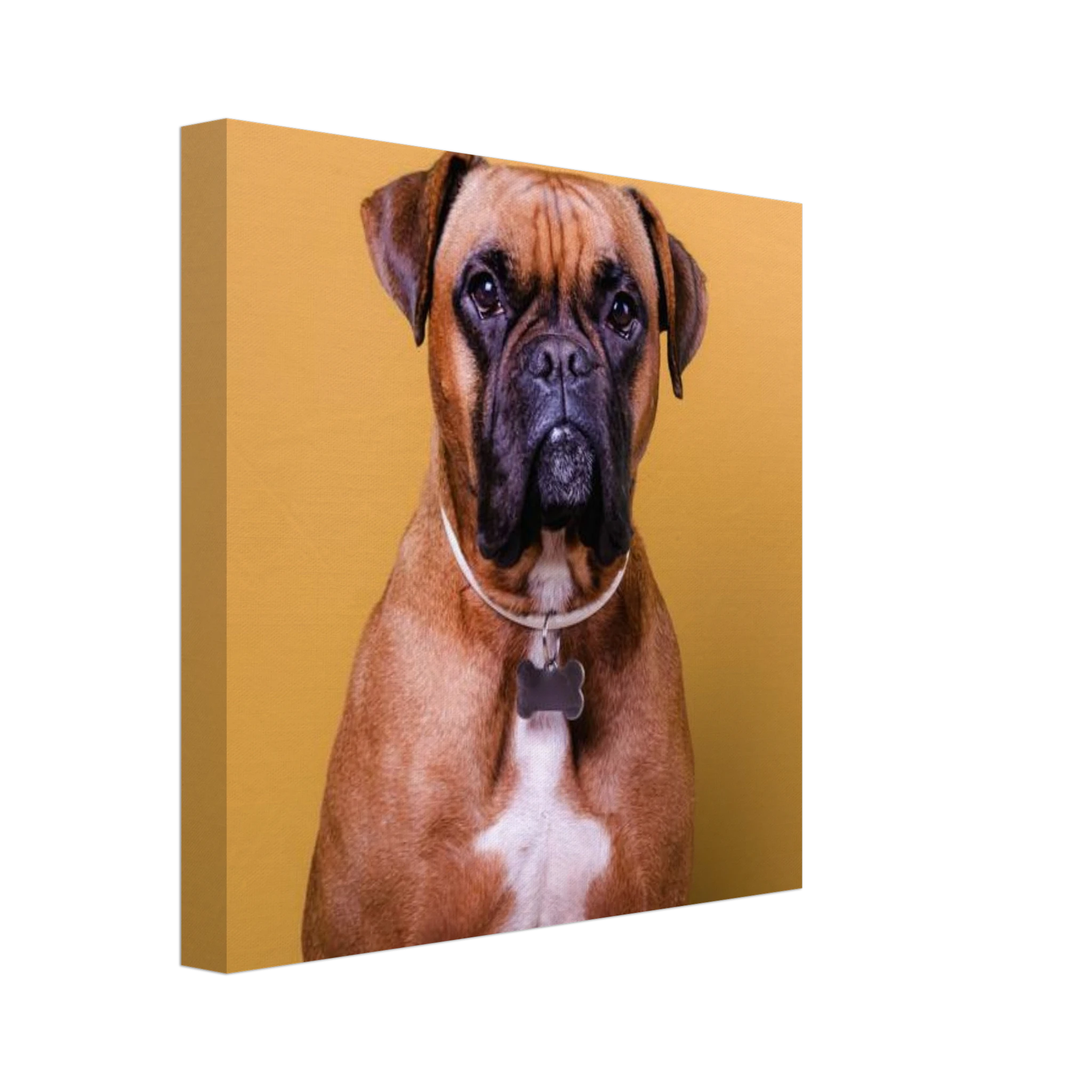 8ced898d-e267-4282-b55b-83fd52655e06