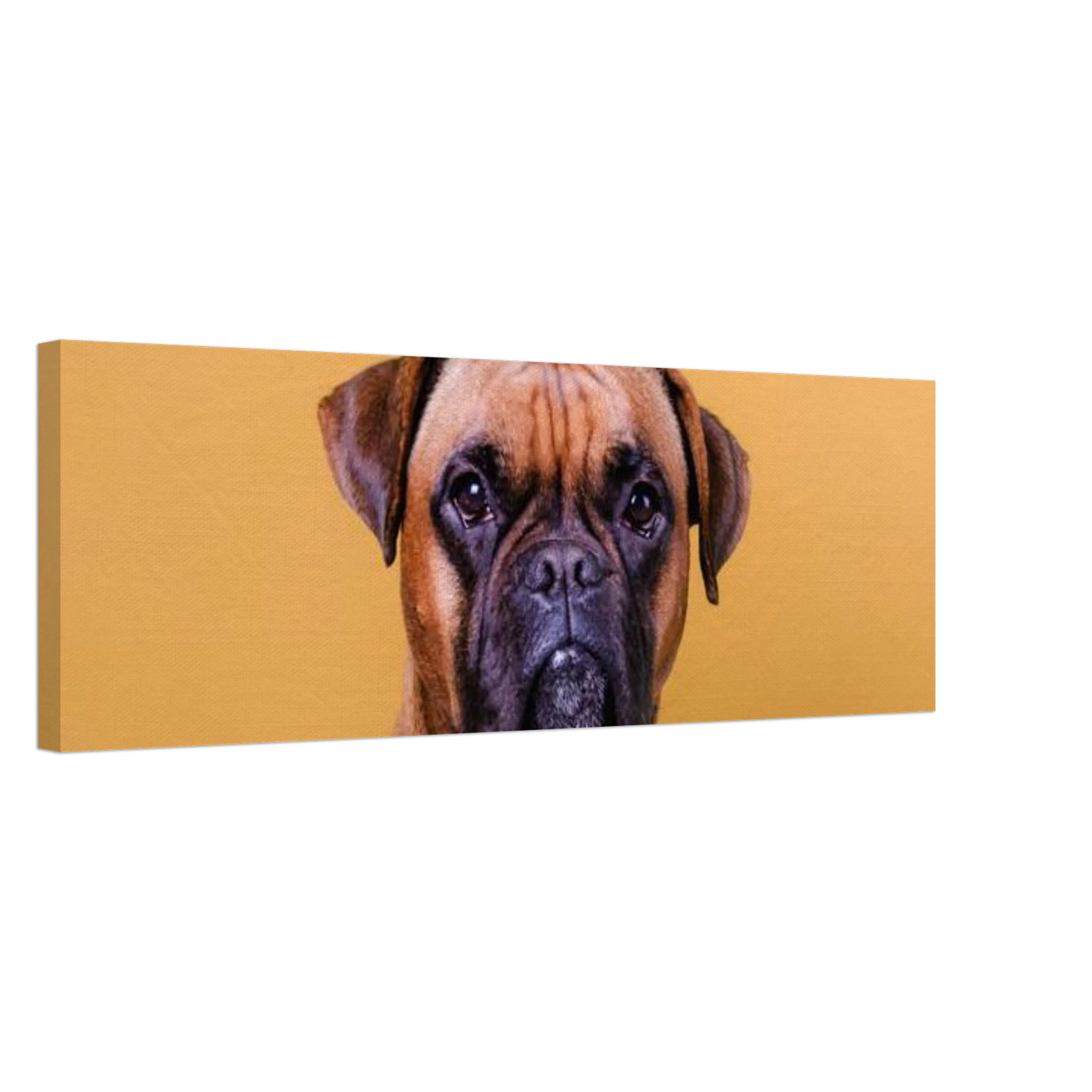 98e26128-e37a-4154-a640-2b0454ea5b42