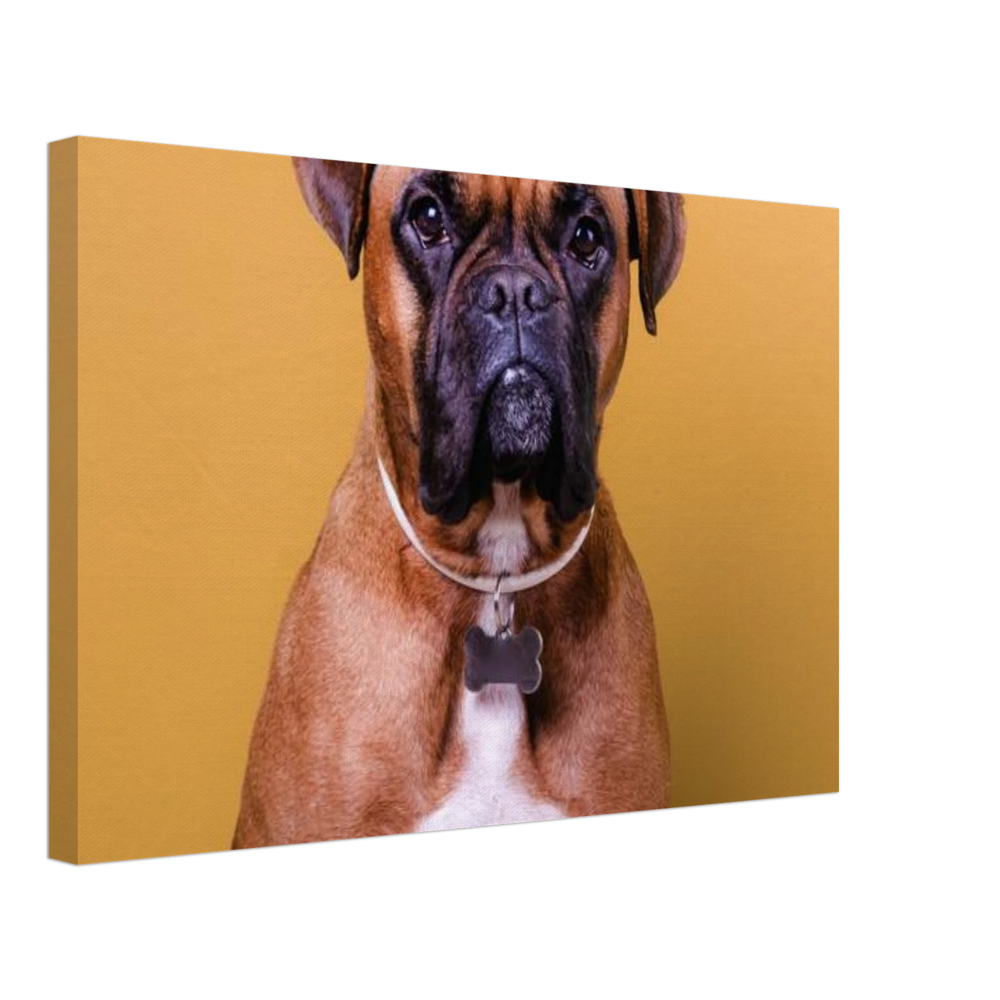 a3cdfd43-a213-43a1-9234-571c0e3acf55