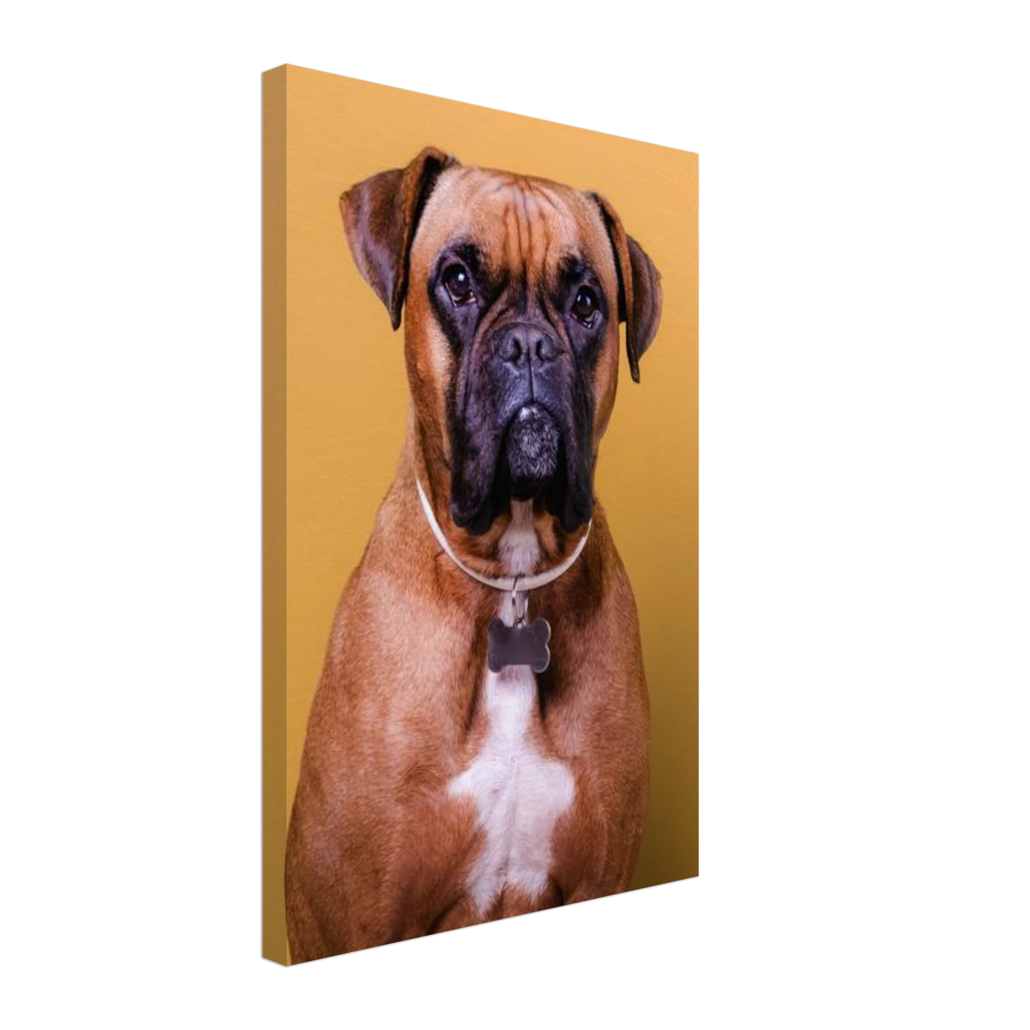 aa7c1996-fe90-494e-8ee4-a6861d5970b3