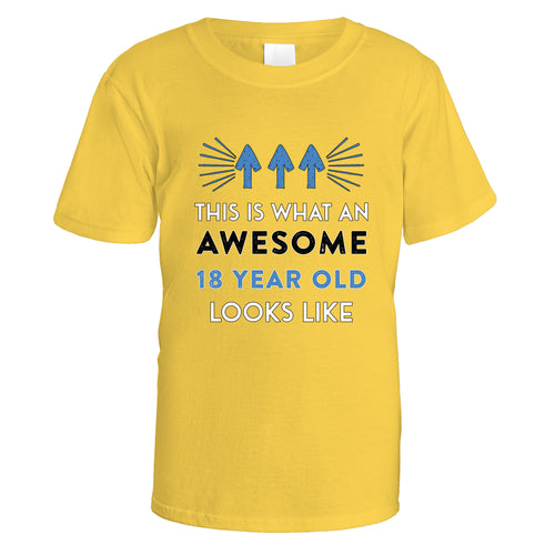 Awesome 18 Year Old T-Shirt (Blue Design) - Small / Daisy