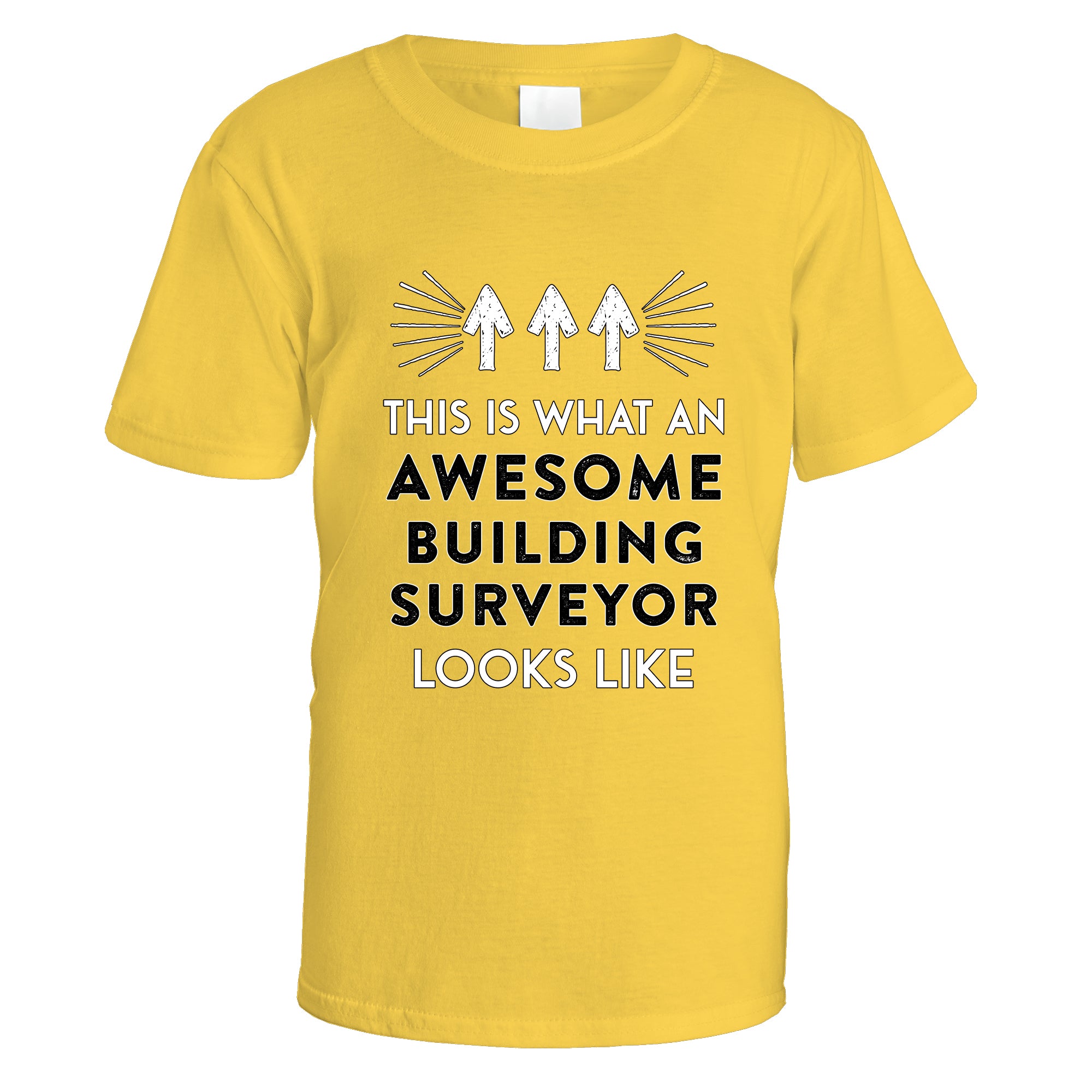 Awesome Building Surveyor T-Shirt