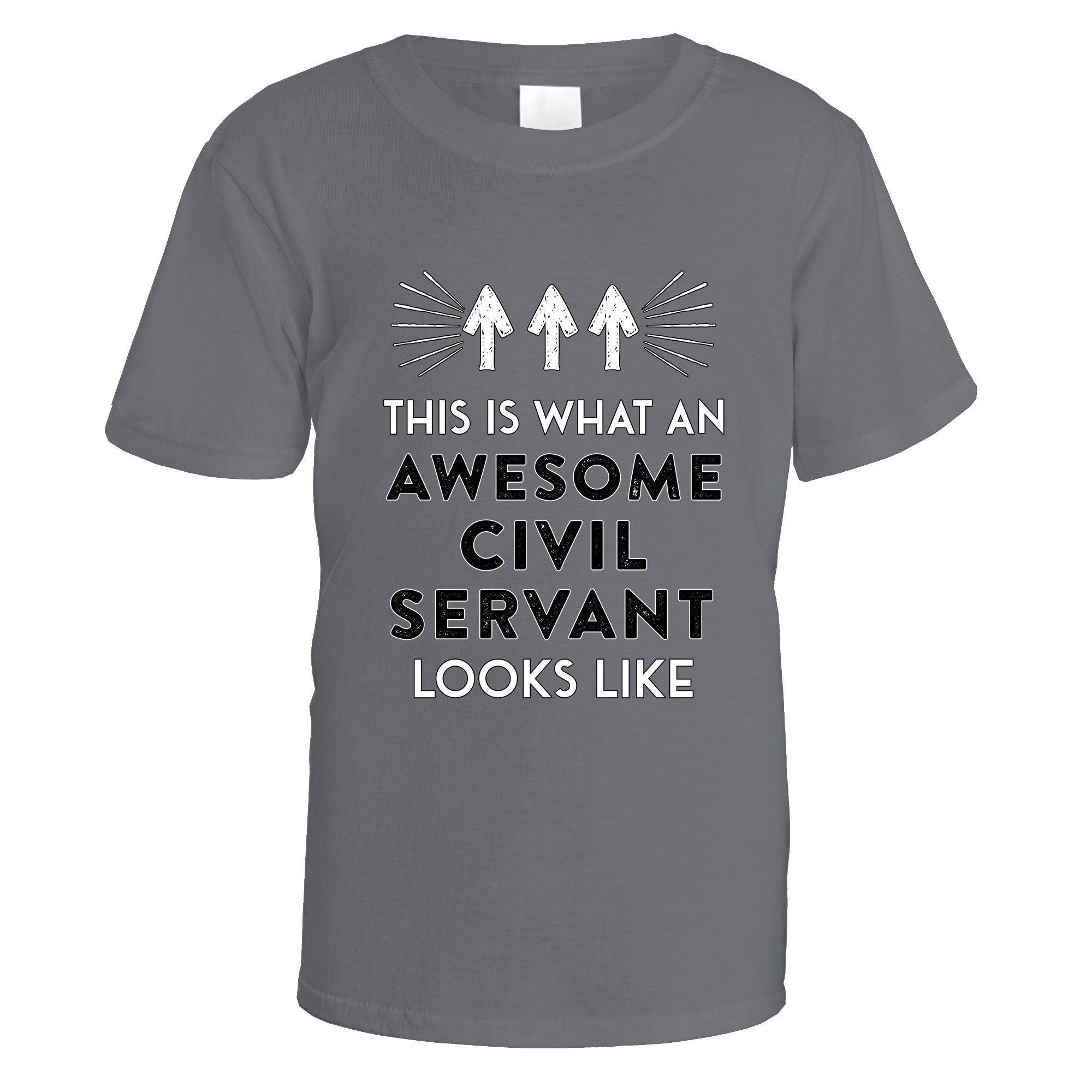 Awesome Civil Servant T-Shirt