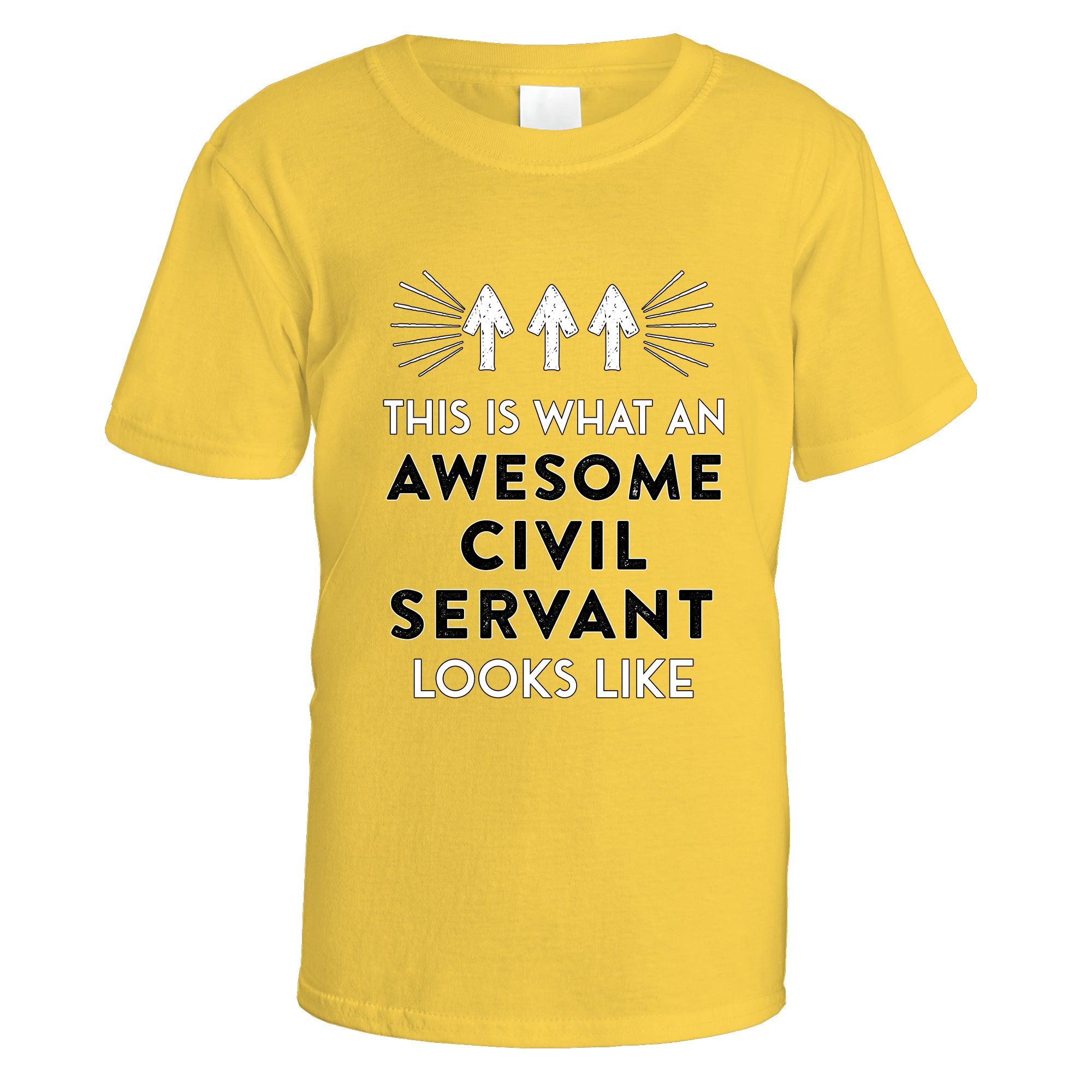 Awesome Civil Servant T-Shirt