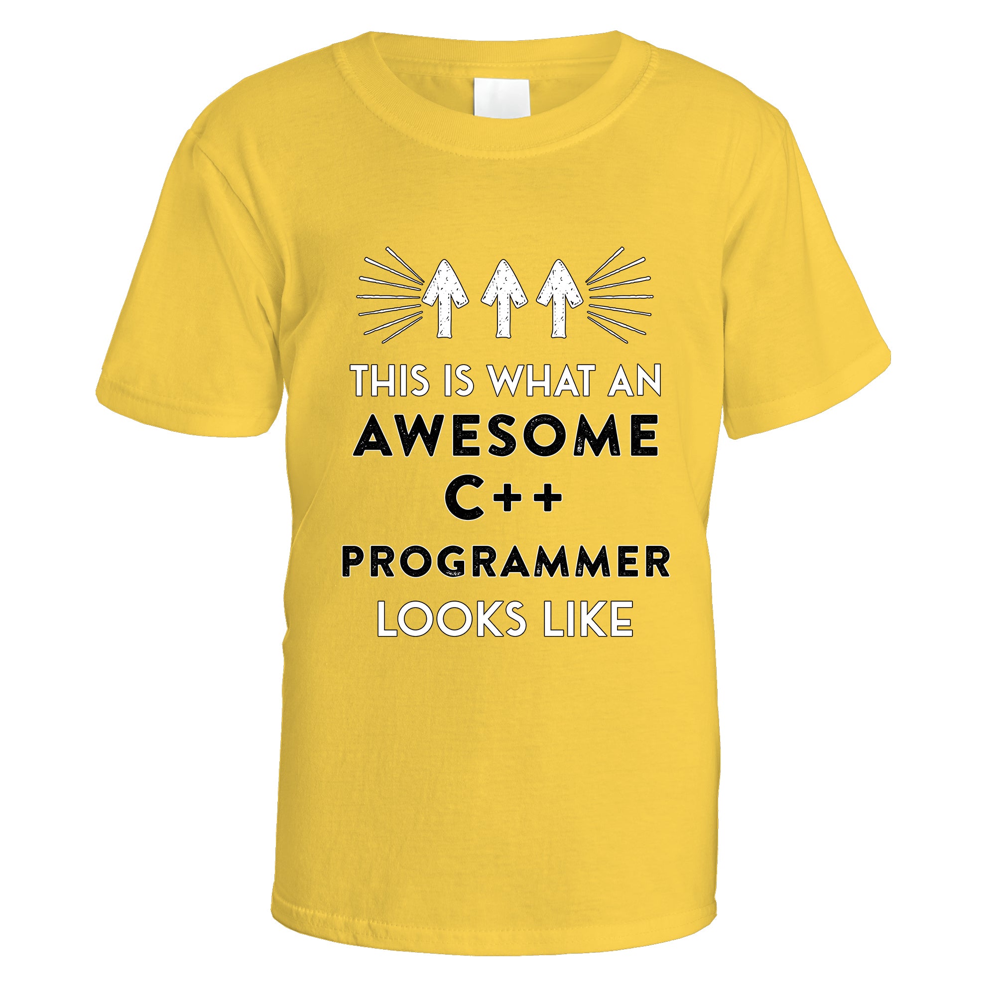 Awesome C++ Programmer T-Shirt