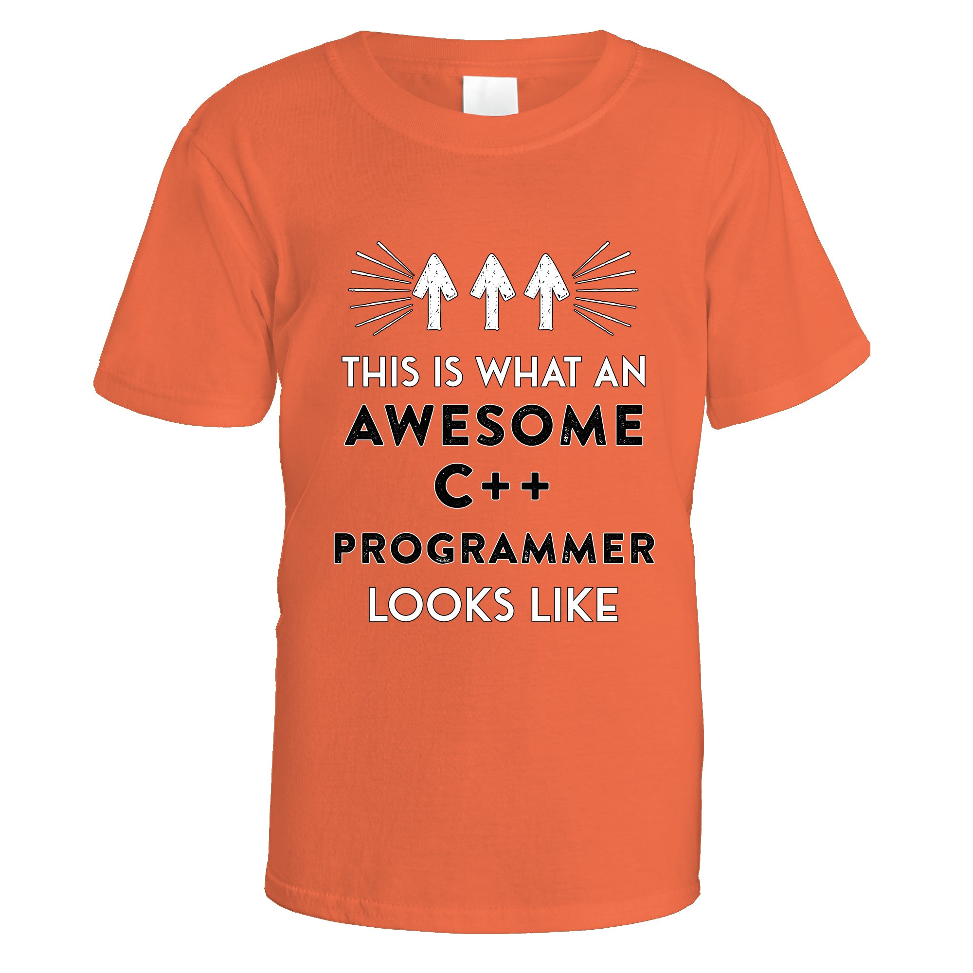 Awesome C++ Programmer T-Shirt