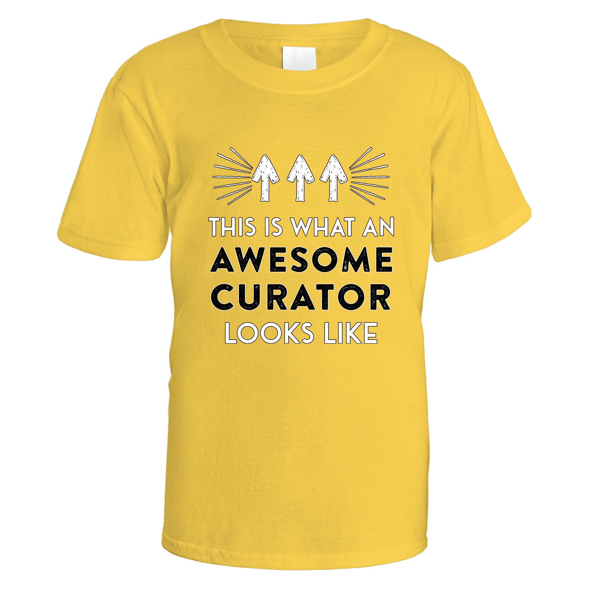 Awesome Curator T-Shirt