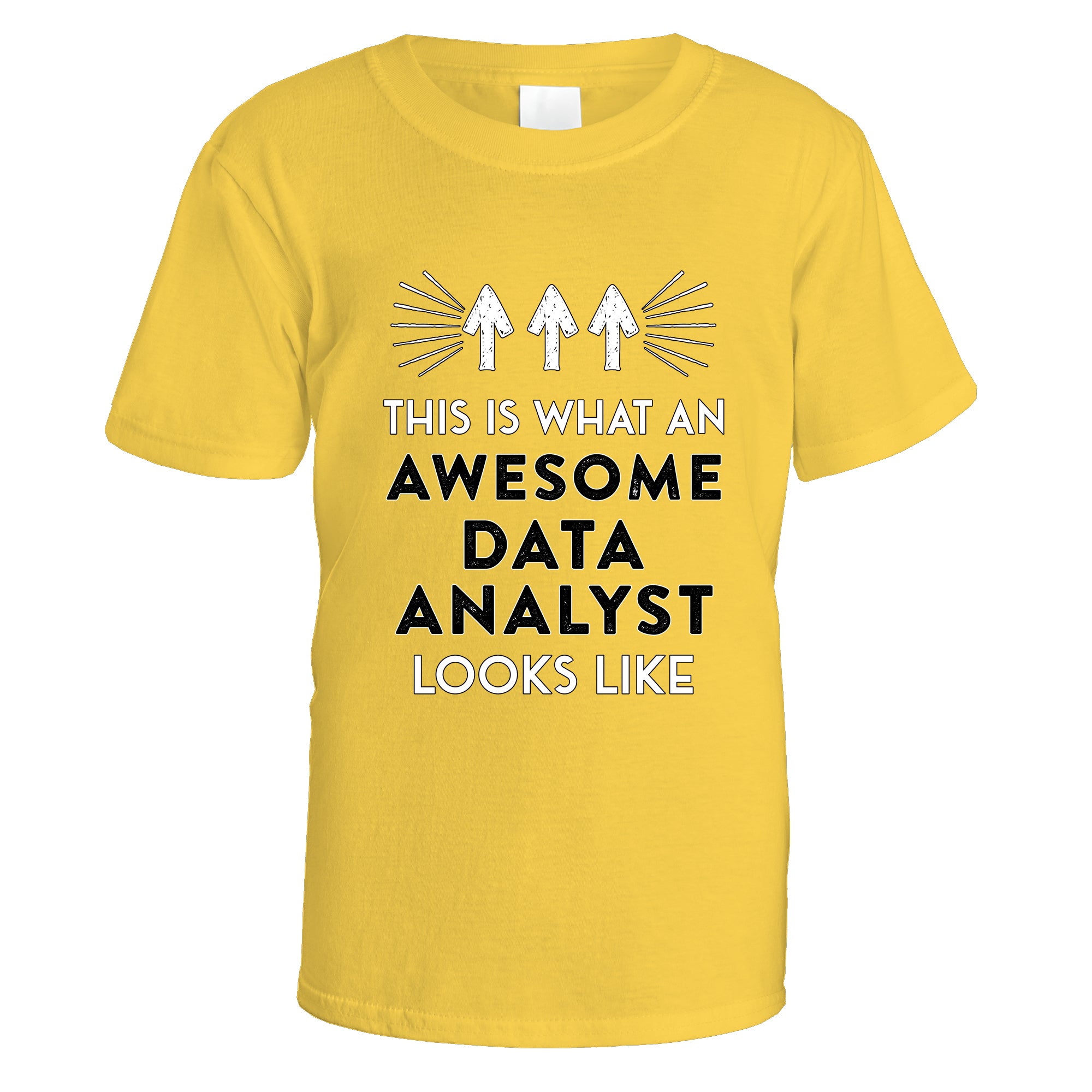 Awesome Data Analyst T-Shirt