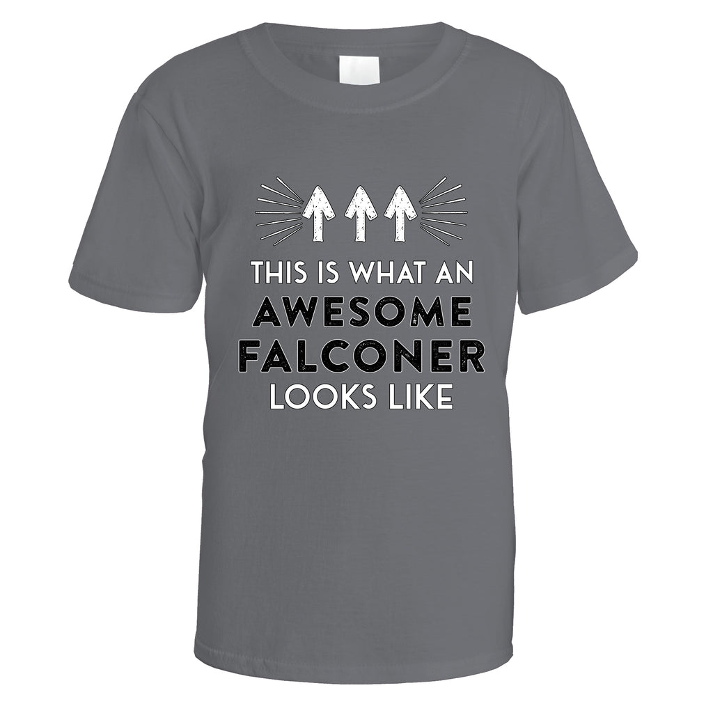 Awesome Falconer T-Shirt - Small / Charcoal