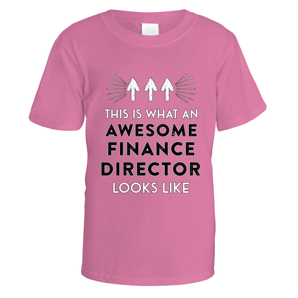 Awesome Finance Director T-Shirt - Small / Azalea