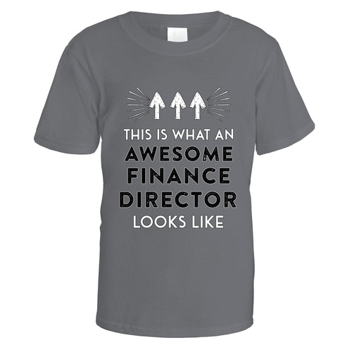 Awesome Finance Director T-Shirt - Small / Charcoal