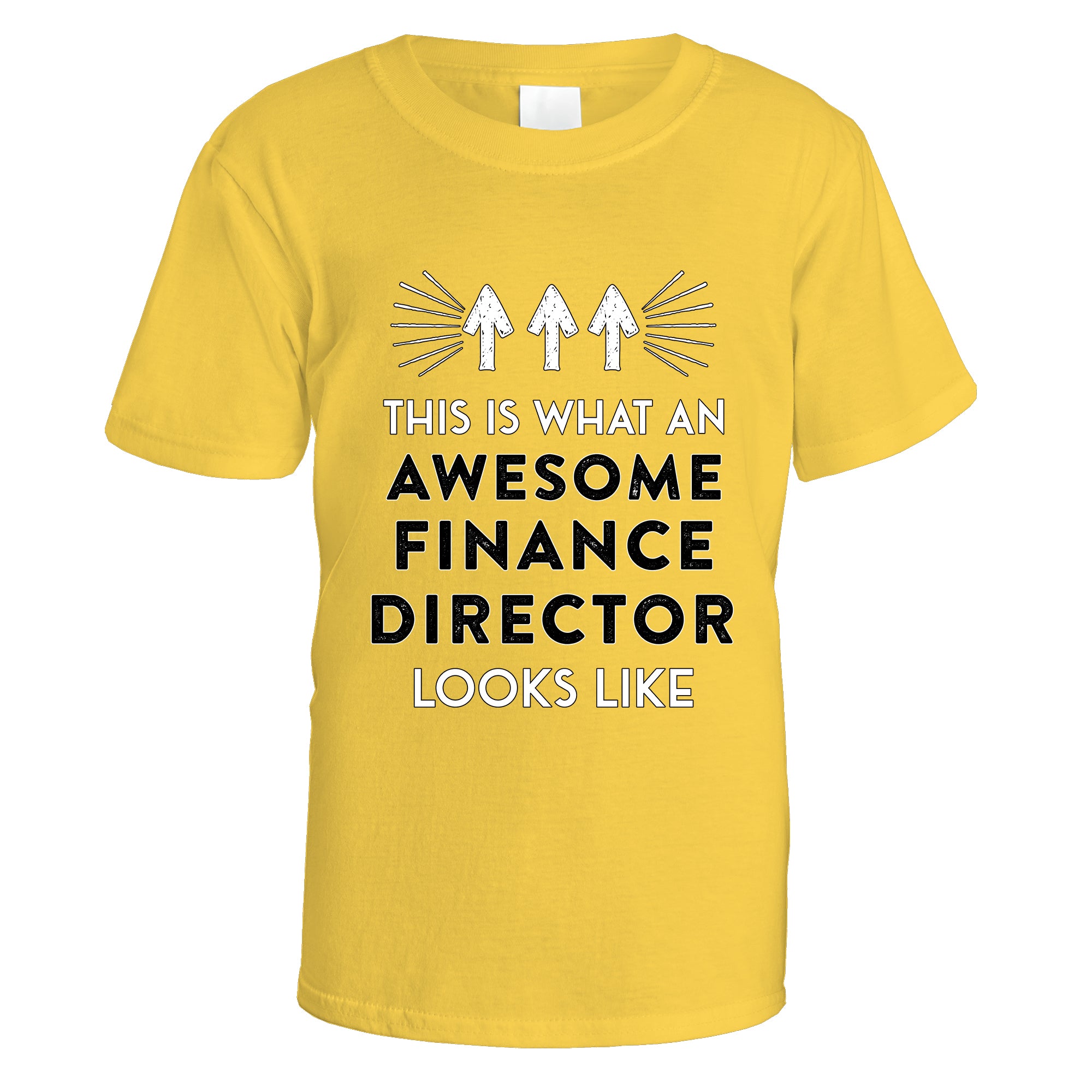 Awesome Finance Director T-Shirt