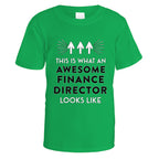Awesome Finance Director T-Shirt - Small / Irish Green