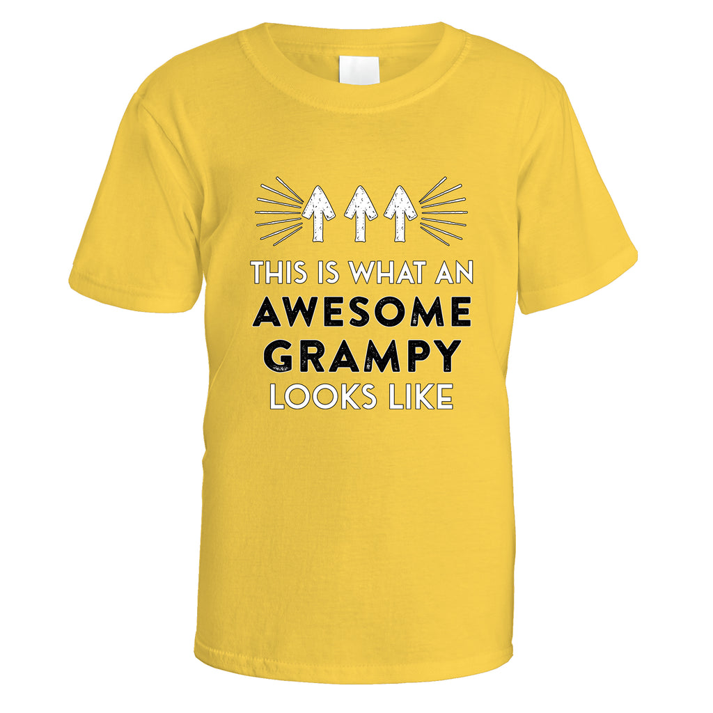 Awesome Grampy T-Shirt - Small / Daisy