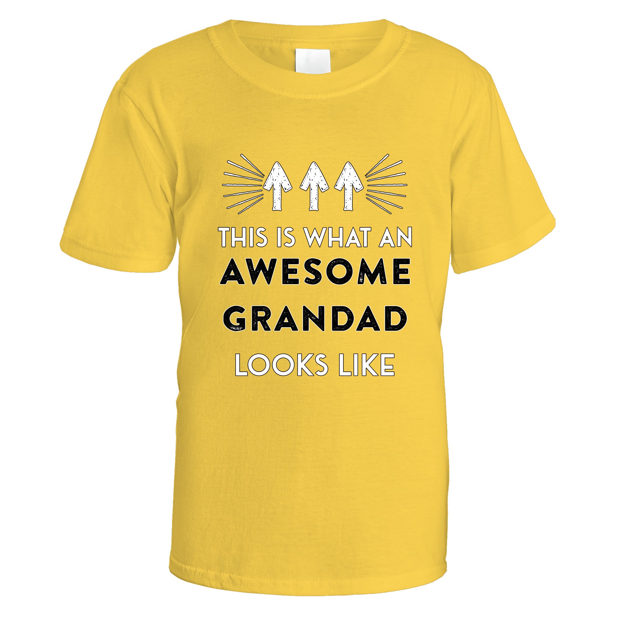 awesome-grandad-t-shirt - Daisy
