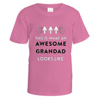 Awesome Grandad T-Shirt - Small / Azalea