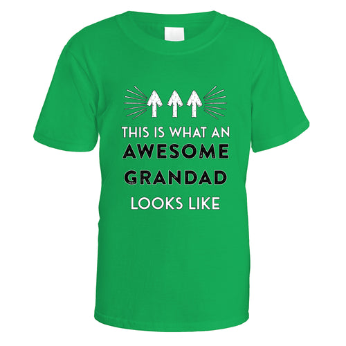 Awesome Grandad T-Shirt - Small / Irish Green