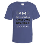 Awesome Grandad T-Shirt - Small / Purple