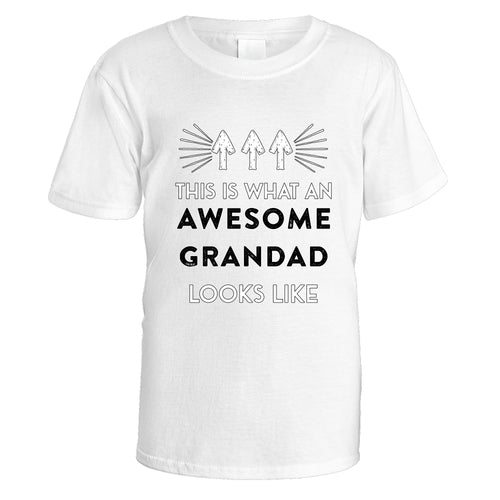 Awesome Grandad T-Shirt - Medium / White