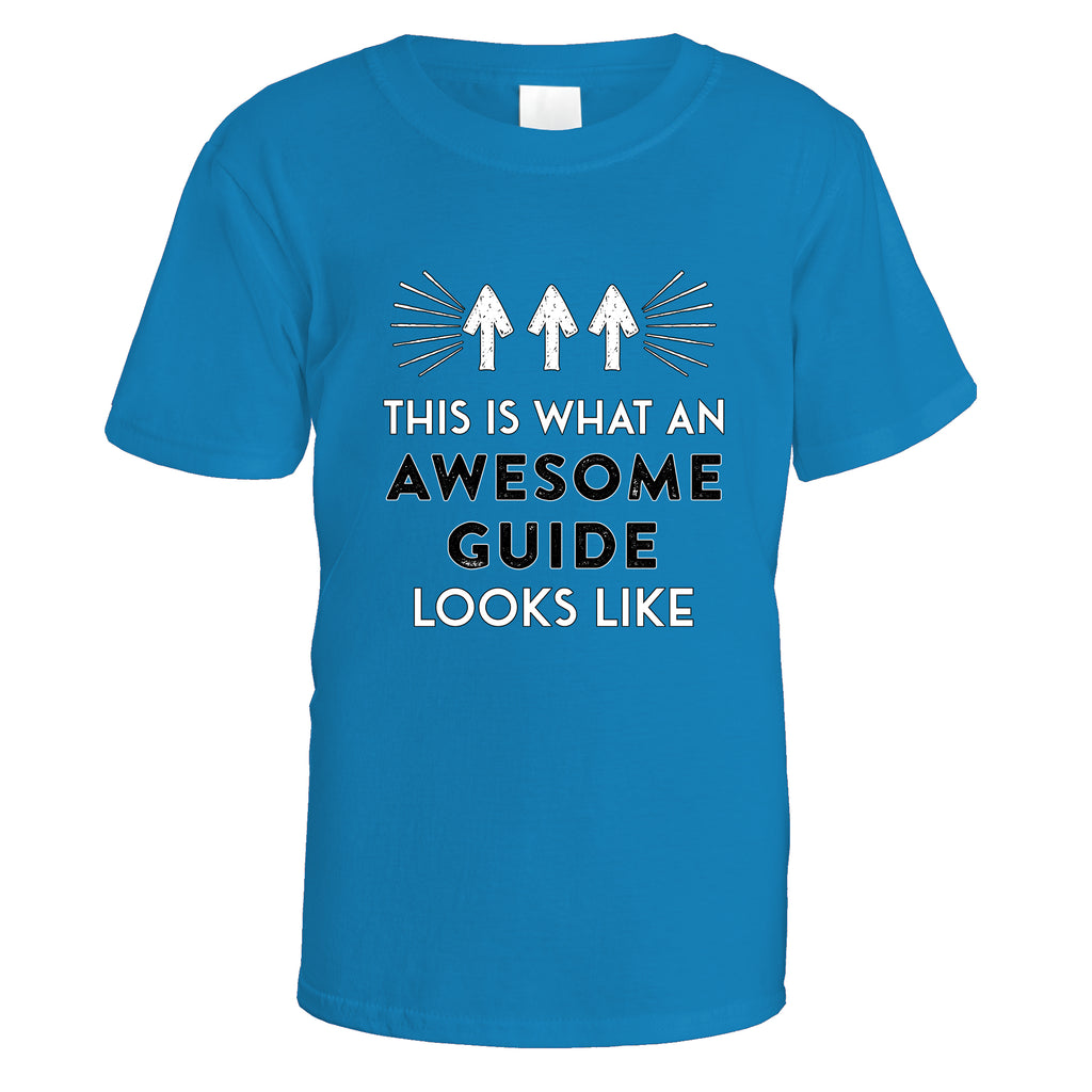Awesome Guide T-Shirt - Small / Sapphire