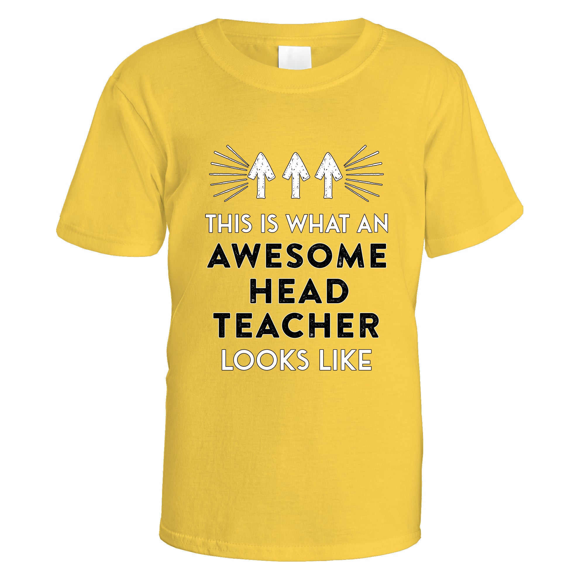 Awesome Head Teacher T-Shirt