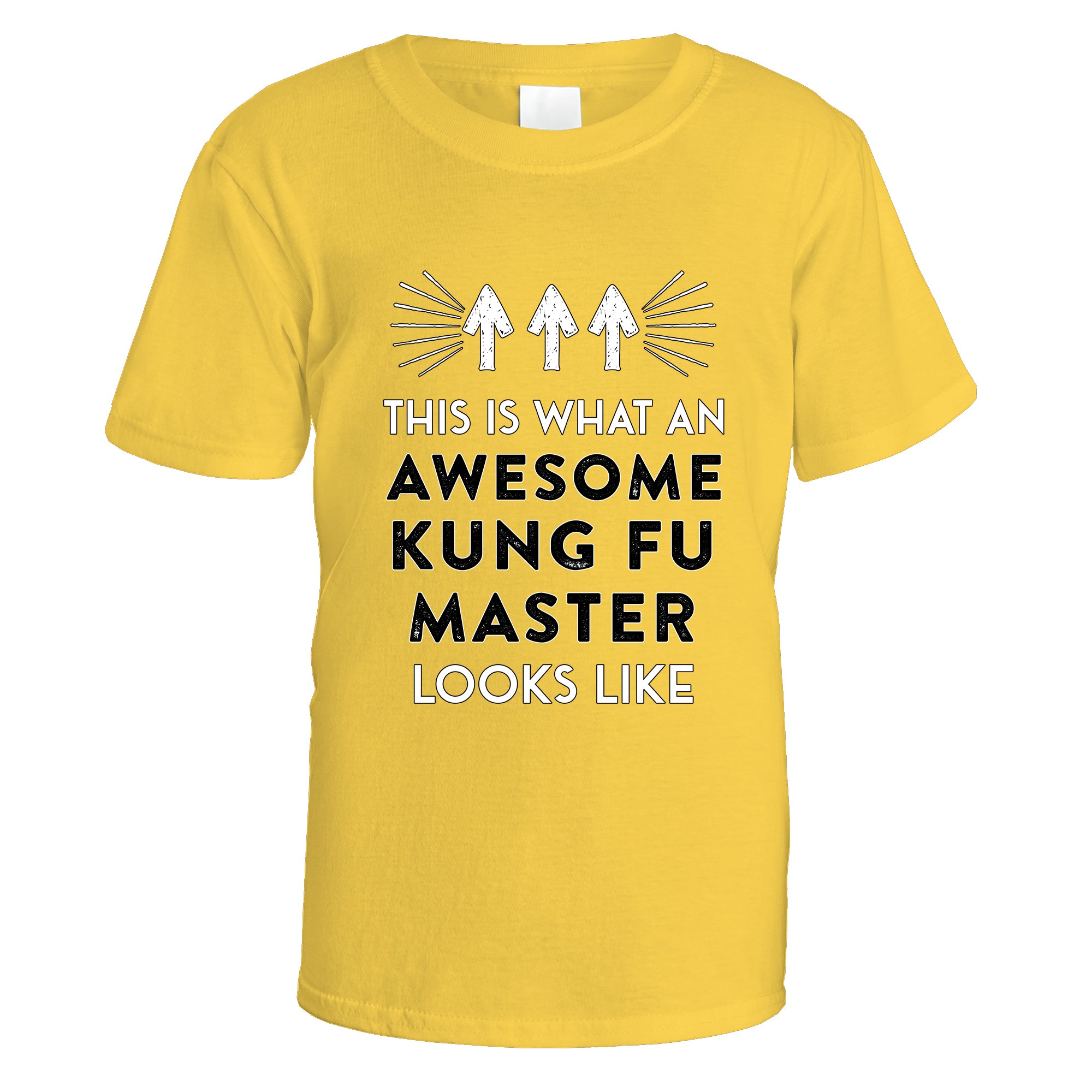 Awesome Kung Fu Master T-Shirt