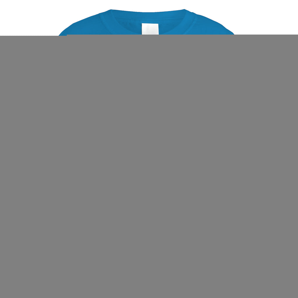 Awesome Kung Fu Master T-Shirt - Small / Sapphire