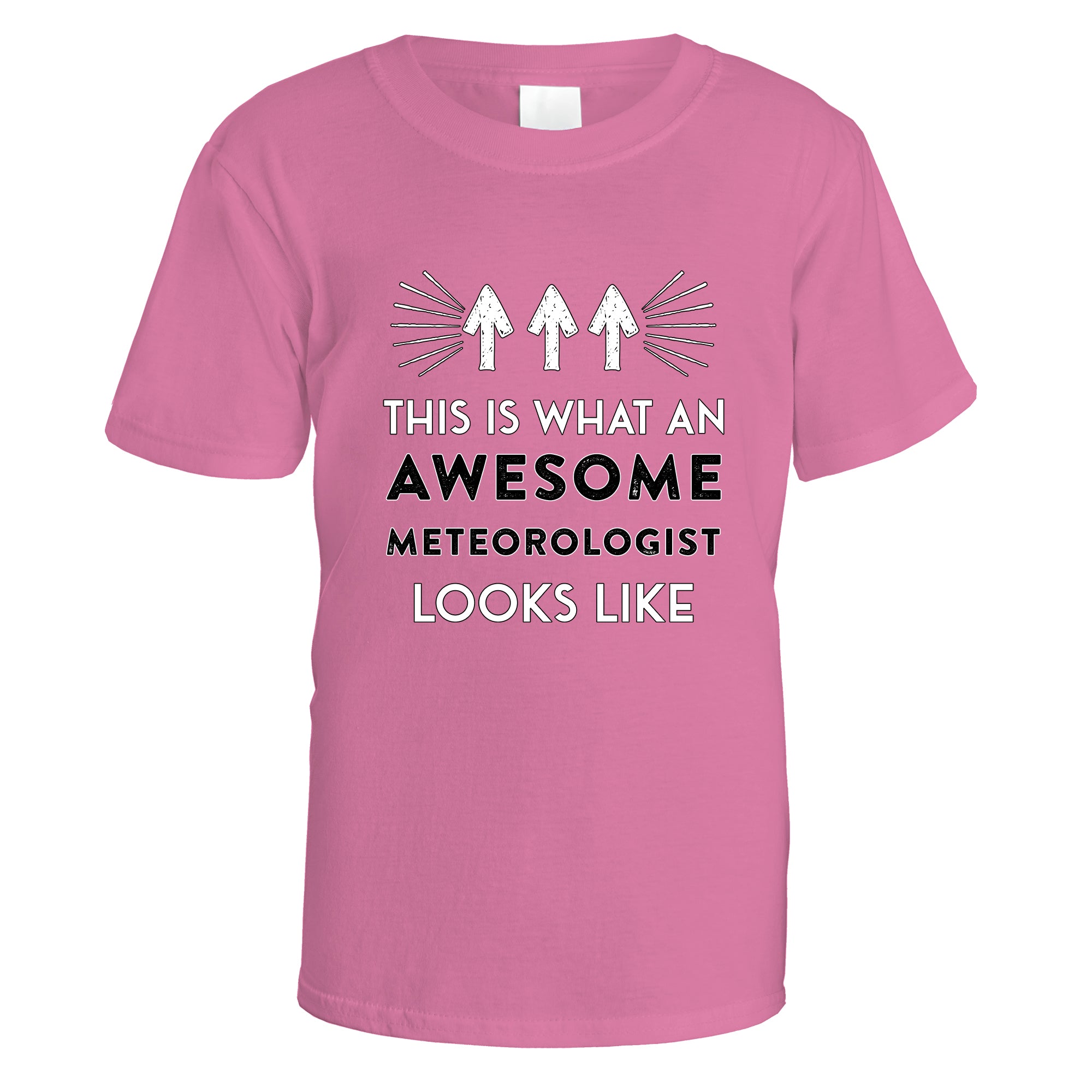 awesome-meteorologist-t-shirt - Azalea