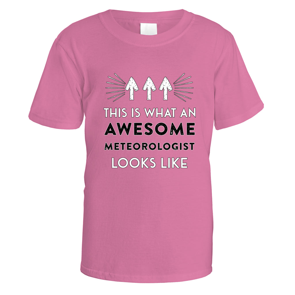 Awesome Meteorologist T-Shirt - Small / Azalea