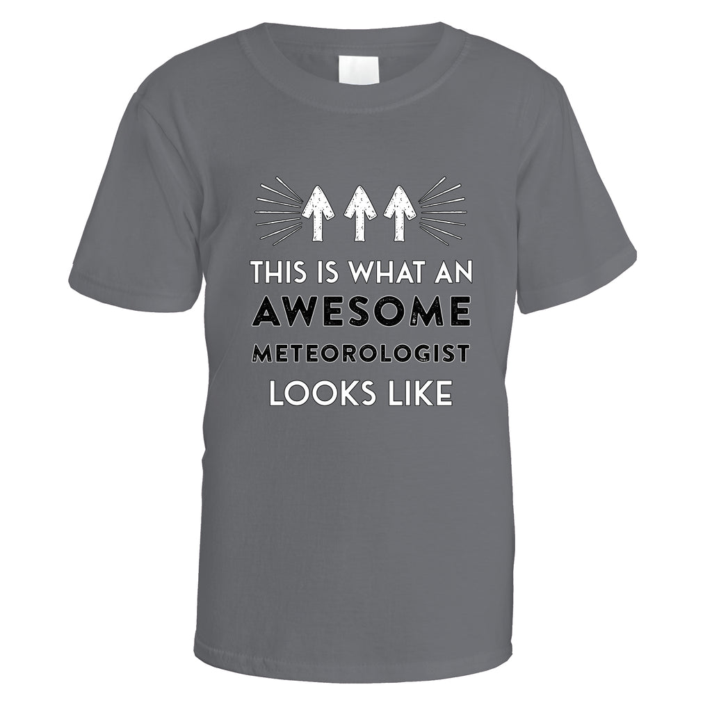 Awesome Meteorologist T-Shirt - Small / Charcoal