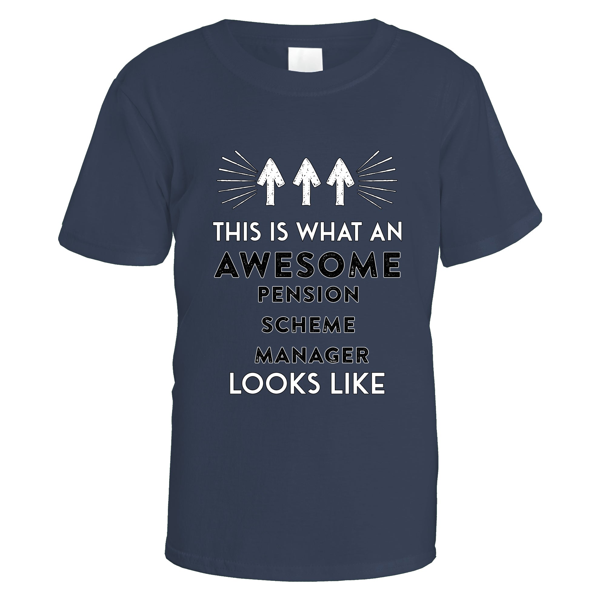 awesome-pension-scheme-manager-t-shirt - Navy