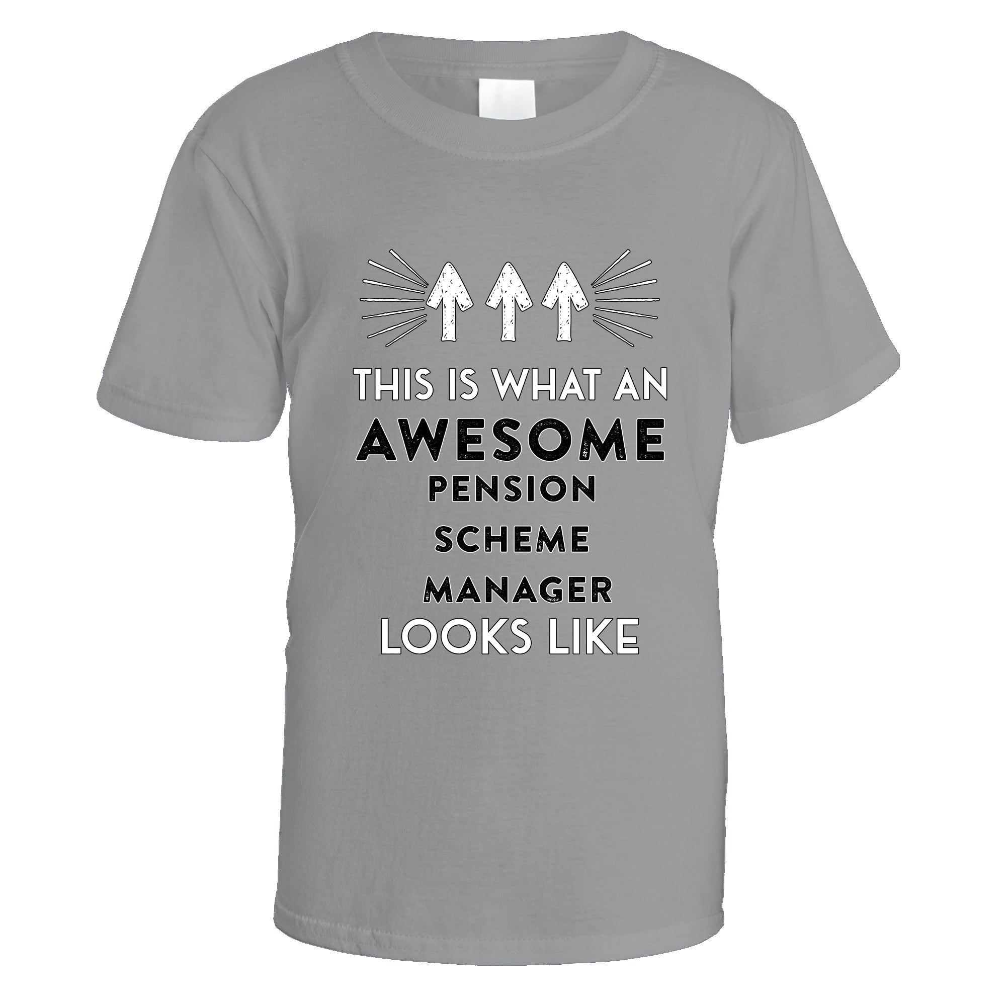 awesome-pension-scheme-manager-t-shirt - Sports Grey
